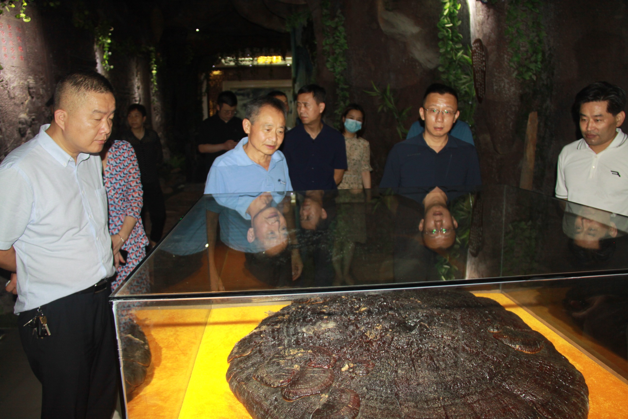 杭州亞運會官方靈芝產(chǎn)品供應(yīng)商|杭州亞運會官方供應(yīng)商|中國靈芝十大品牌|仙客來靈芝|仙客來靈芝破壁孢子粉|仙客來孢子油|仙客來靈芝飲片|仙客來破壁孢子粉|靈芝孢子油|孢子粉|靈芝破壁孢子粉|靈芝|中華老字號 杭州亞運會官方靈芝產(chǎn)品供應(yīng)商|杭州亞運會官方供應(yīng)商|中國靈芝十大品牌|仙客來靈芝|仙客來靈芝破壁孢子粉|仙客來孢子油|仙客來靈芝飲片|仙客來破壁孢子粉|靈芝孢子油|孢子粉|靈芝破壁孢子粉|靈芝|中華老字號