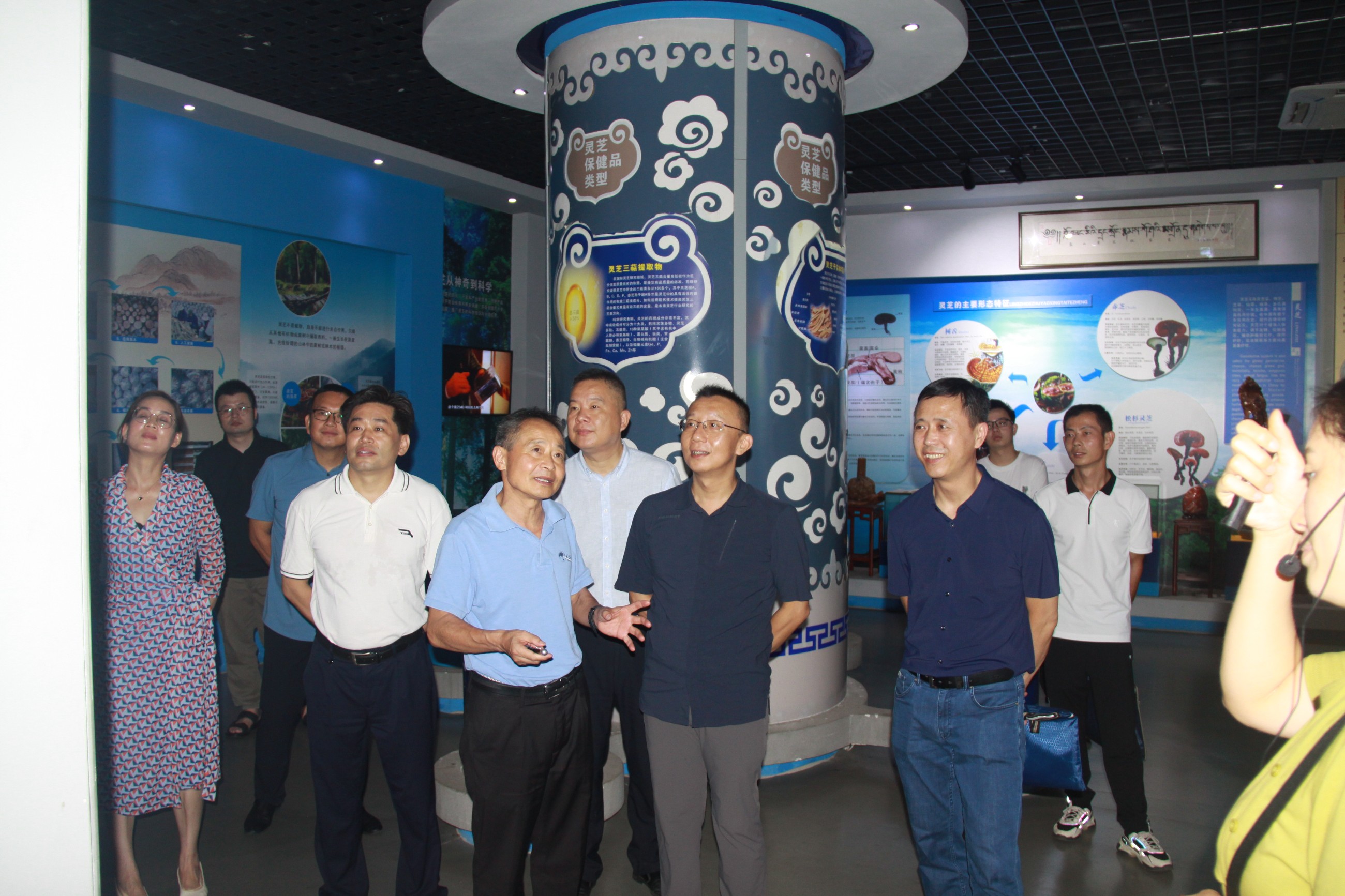 杭州亞運會官方靈芝產(chǎn)品供應(yīng)商|杭州亞運會官方供應(yīng)商|中國靈芝十大品牌|仙客來靈芝|仙客來靈芝破壁孢子粉|仙客來孢子油|仙客來靈芝飲片|仙客來破壁孢子粉|靈芝孢子油|孢子粉|靈芝破壁孢子粉|靈芝|中華老字號 杭州亞運會官方靈芝產(chǎn)品供應(yīng)商|杭州亞運會官方供應(yīng)商|中國靈芝十大品牌|仙客來靈芝|仙客來靈芝破壁孢子粉|仙客來孢子油|仙客來靈芝飲片|仙客來破壁孢子粉|靈芝孢子油|孢子粉|靈芝破壁孢子粉|靈芝|中華老字號