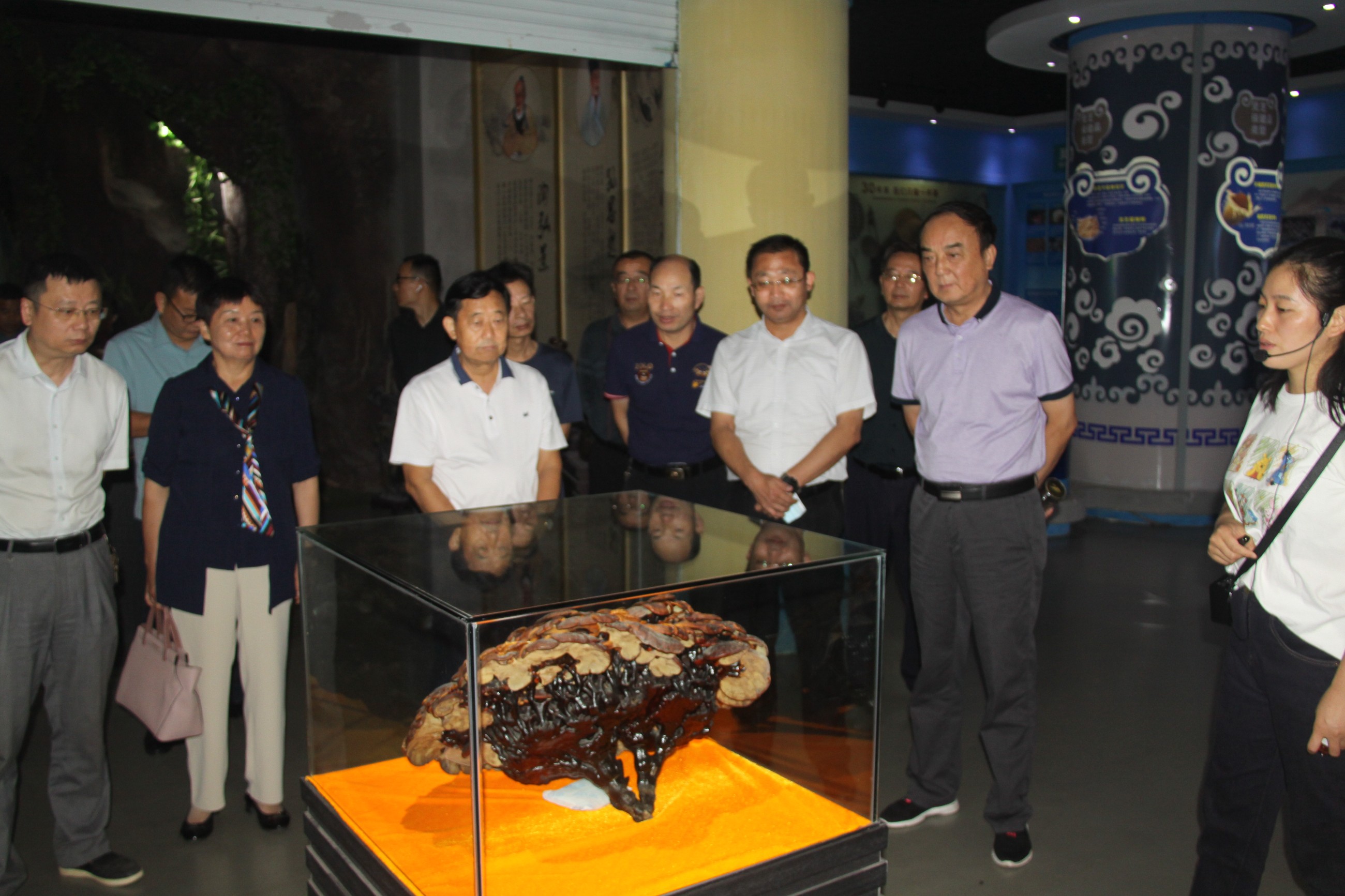 杭州亞運(yùn)會(huì)官方靈芝產(chǎn)品供應(yīng)商|杭州亞運(yùn)會(huì)官方供應(yīng)商|中國(guó)靈芝十大品牌|仙客來靈芝|仙客來靈芝破壁孢子粉|仙客來孢子油|仙客來靈芝飲片|仙客來破壁孢子粉|靈芝孢子油|孢子粉|靈芝破壁孢子粉|靈芝|中華老字號(hào)