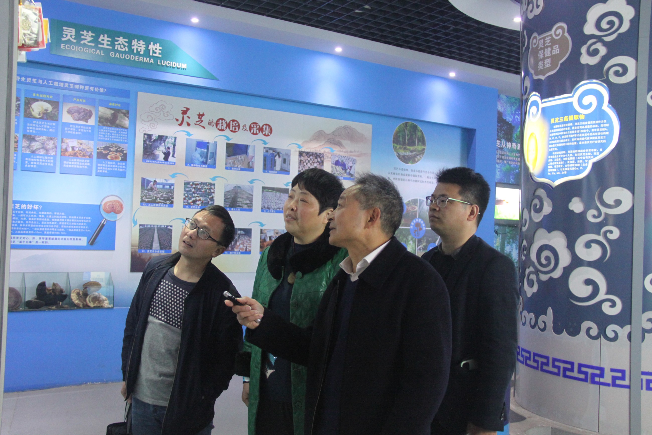 杭州亞運會官方靈芝產(chǎn)品供應商|杭州亞運會官方供應商|中國靈芝十大品牌|仙客來靈芝|仙客來靈芝破壁孢子粉|仙客來孢子油|仙客來靈芝飲片|仙客來破壁孢子粉|靈芝孢子油|孢子粉|靈芝破壁孢子粉|靈芝|中華老字號