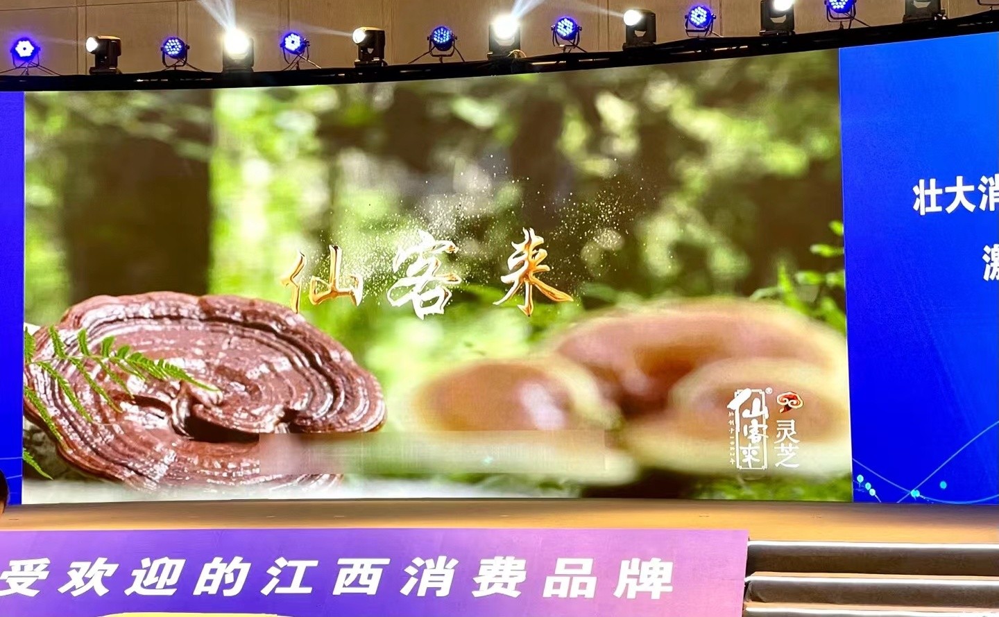 杭州亞運(yùn)會官方靈芝產(chǎn)品供應(yīng)商|杭州亞運(yùn)會官方供應(yīng)商|中國靈芝十大品牌|仙客來靈芝|仙客來靈芝破壁孢子粉|仙客來孢子油|仙客來靈芝飲片|仙客來破壁孢子粉|靈芝孢子油|孢子粉|靈芝破壁孢子粉|靈芝|中華老字號 杭州亞運(yùn)會官方靈芝產(chǎn)品供應(yīng)商|杭州亞運(yùn)會官方供應(yīng)商|中國靈芝十大品牌|仙客來靈芝|仙客來靈芝破壁孢子粉|仙客來孢子油|仙客來靈芝飲片|仙客來破壁孢子粉|靈芝孢子油|孢子粉|靈芝破壁孢子粉|靈芝|中華老字號