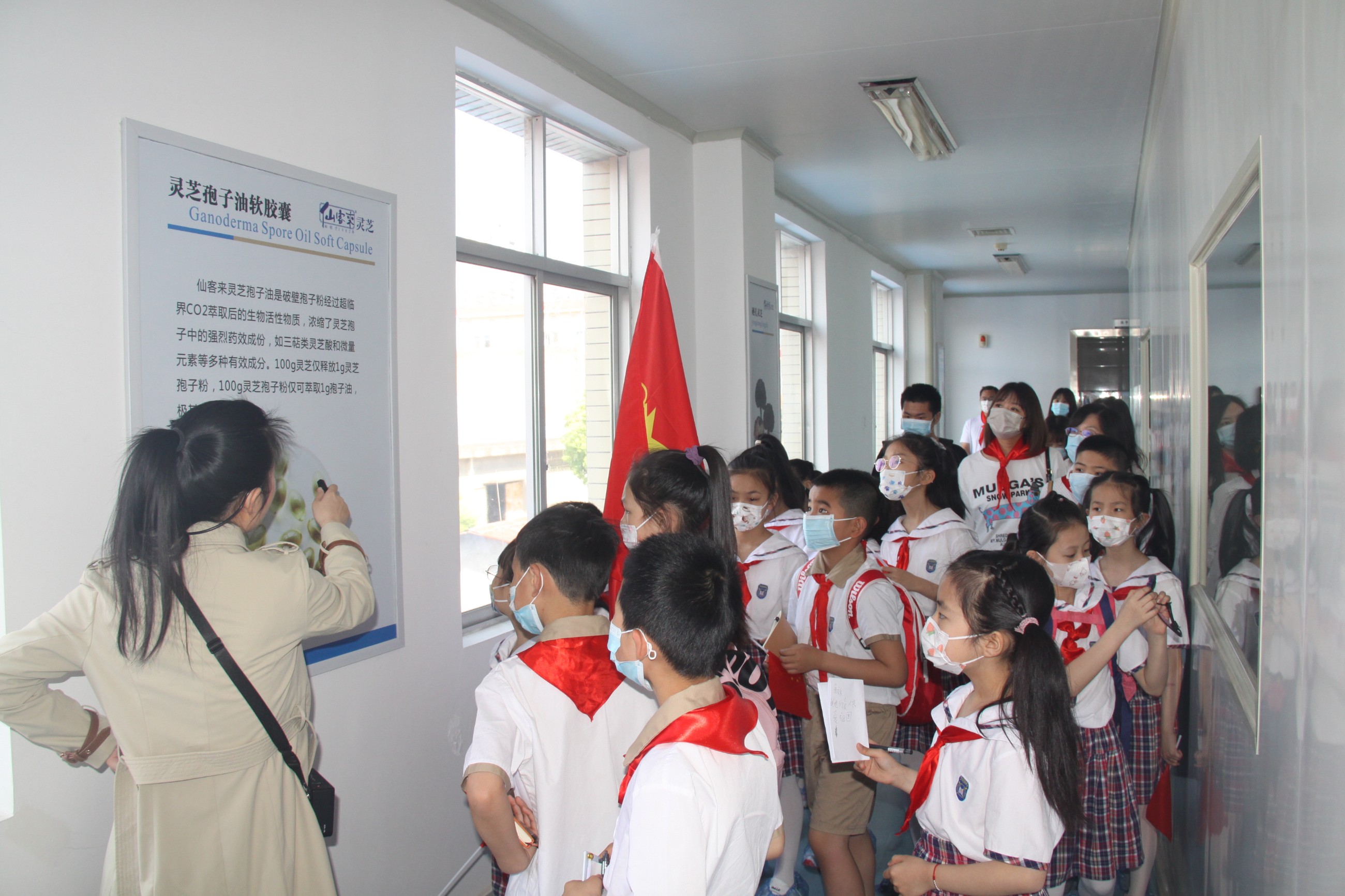 杭州亞運(yùn)會(huì)官方靈芝產(chǎn)品供應(yīng)商|杭州亞運(yùn)會(huì)官方供應(yīng)商|中國靈芝十大品牌|仙客來靈芝|仙客來靈芝破壁孢子粉|仙客來孢子油|仙客來靈芝飲片|仙客來破壁孢子粉|靈芝孢子油|孢子粉|靈芝破壁孢子粉|靈芝|中華老字號(hào) 杭州亞運(yùn)會(huì)官方靈芝產(chǎn)品供應(yīng)商|杭州亞運(yùn)會(huì)官方供應(yīng)商|中國靈芝十大品牌|仙客來靈芝|仙客來靈芝破壁孢子粉|仙客來孢子油|仙客來靈芝飲片|仙客來破壁孢子粉|靈芝孢子油|孢子粉|靈芝破壁孢子粉|靈芝|中華老字號(hào)