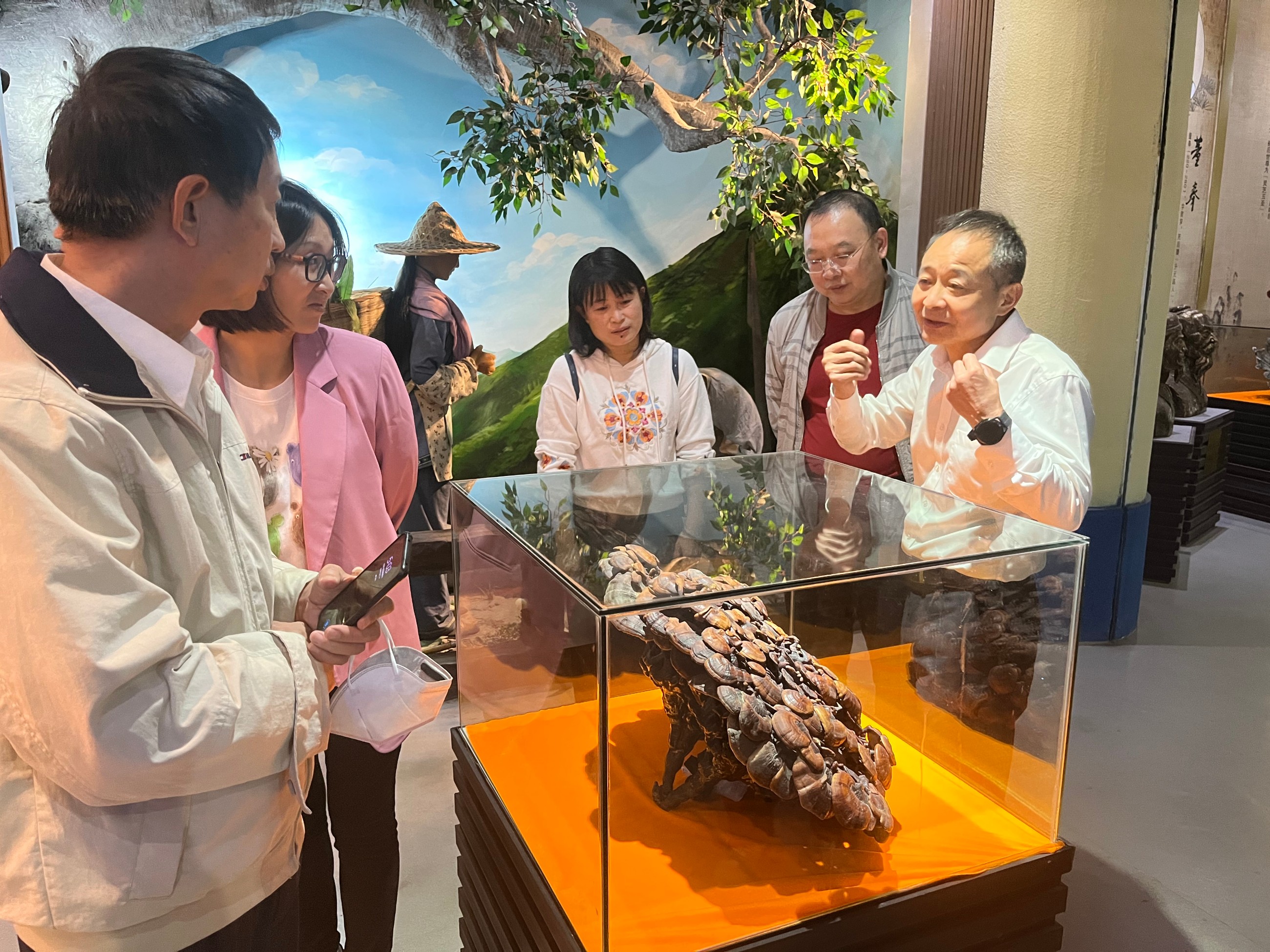 杭州亞運會官方靈芝產(chǎn)品供應(yīng)商|杭州亞運會官方供應(yīng)商|中國靈芝十大品牌|仙客來靈芝|仙客來靈芝破壁孢子粉|仙客來孢子油|仙客來靈芝飲片|仙客來破壁孢子粉|靈芝孢子油|孢子粉|靈芝破壁孢子粉|靈芝|中華老字號 杭州亞運會官方靈芝產(chǎn)品供應(yīng)商|杭州亞運會官方供應(yīng)商|中國靈芝十大品牌|仙客來靈芝|仙客來靈芝破壁孢子粉|仙客來孢子油|仙客來靈芝飲片|仙客來破壁孢子粉|靈芝孢子油|孢子粉|靈芝破壁孢子粉|靈芝|中華老字號