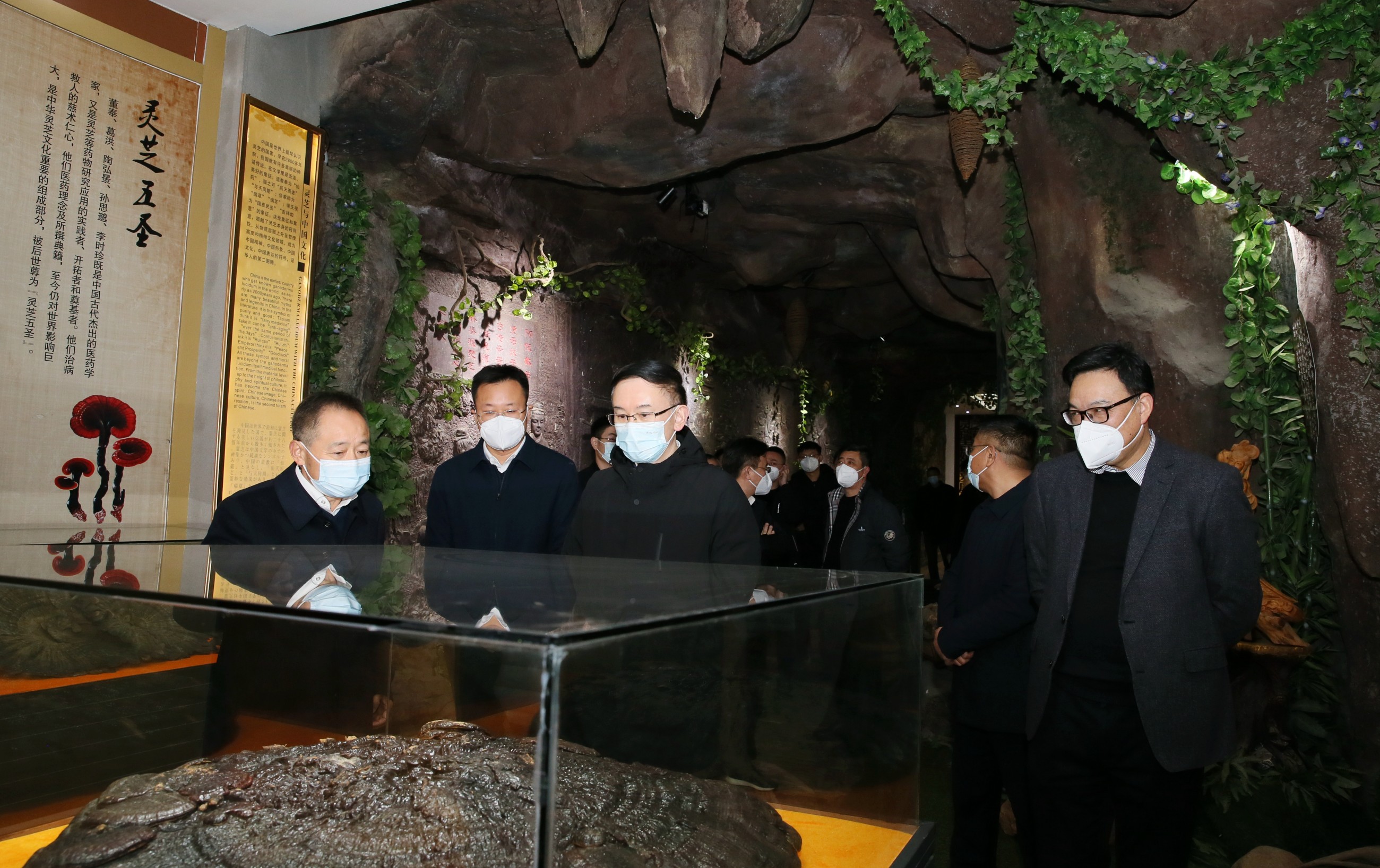 杭州亞運會官方靈芝產(chǎn)品供應(yīng)商|杭州亞運會官方供應(yīng)商|中國靈芝十大品牌|仙客來靈芝|仙客來靈芝破壁孢子粉|仙客來孢子油|仙客來靈芝飲片|仙客來破壁孢子粉|靈芝孢子油|孢子粉|靈芝破壁孢子粉|靈芝|中華老字號 杭州亞運會官方靈芝產(chǎn)品供應(yīng)商|杭州亞運會官方供應(yīng)商|中國靈芝十大品牌|仙客來靈芝|仙客來靈芝破壁孢子粉|仙客來孢子油|仙客來靈芝飲片|仙客來破壁孢子粉|靈芝孢子油|孢子粉|靈芝破壁孢子粉|靈芝|中華老字號