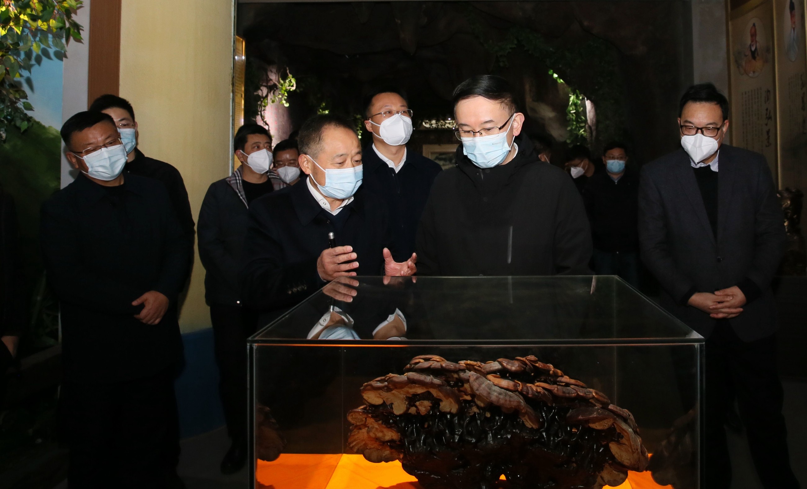 杭州亞運會官方靈芝產(chǎn)品供應(yīng)商|杭州亞運會官方供應(yīng)商|中國靈芝十大品牌|仙客來靈芝|仙客來靈芝破壁孢子粉|仙客來孢子油|仙客來靈芝飲片|仙客來破壁孢子粉|靈芝孢子油|孢子粉|靈芝破壁孢子粉|靈芝|中華老字號 杭州亞運會官方靈芝產(chǎn)品供應(yīng)商|杭州亞運會官方供應(yīng)商|中國靈芝十大品牌|仙客來靈芝|仙客來靈芝破壁孢子粉|仙客來孢子油|仙客來靈芝飲片|仙客來破壁孢子粉|靈芝孢子油|孢子粉|靈芝破壁孢子粉|靈芝|中華老字號