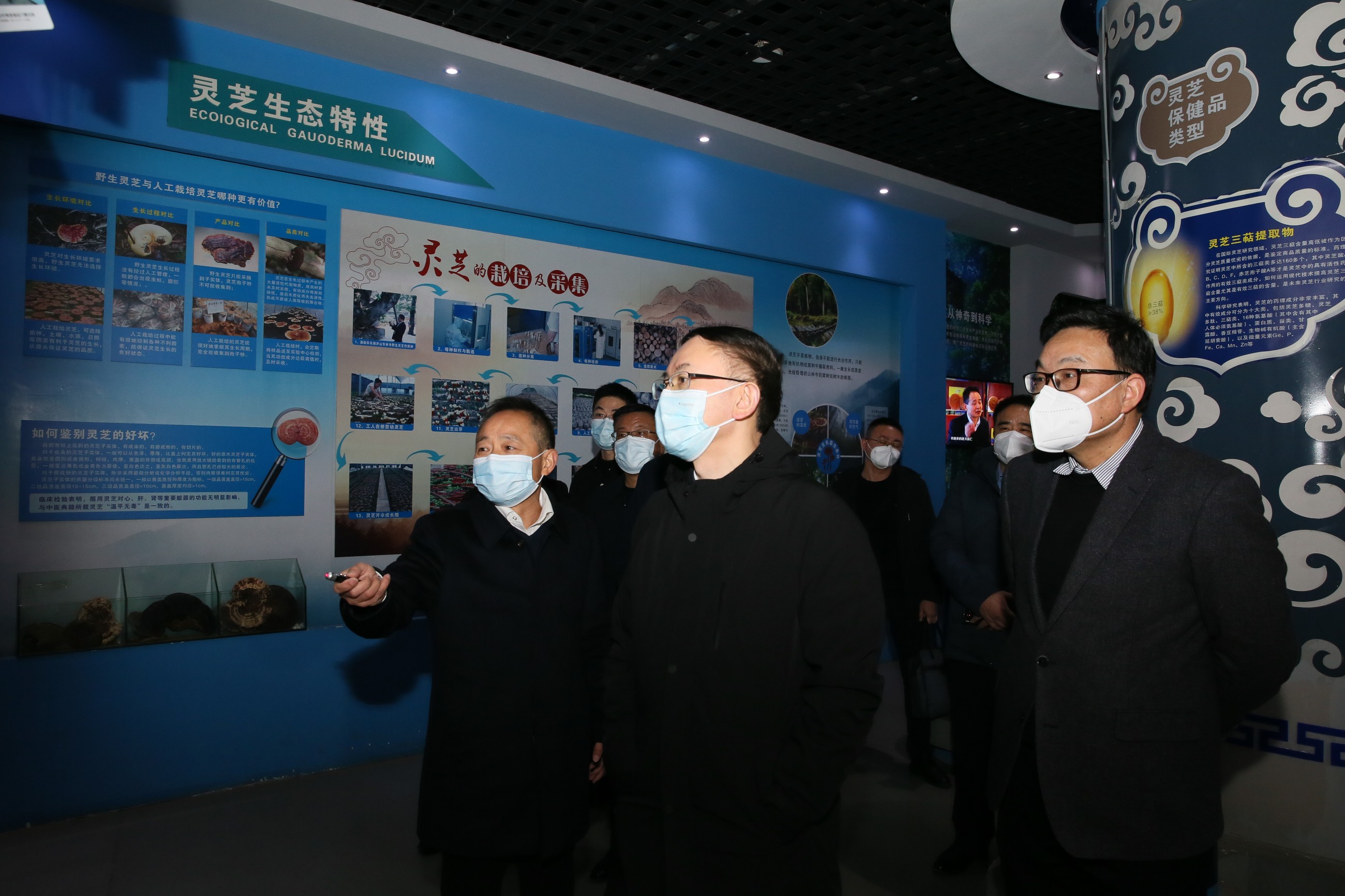 杭州亞運會官方靈芝產(chǎn)品供應(yīng)商|杭州亞運會官方供應(yīng)商|中國靈芝十大品牌|仙客來靈芝|仙客來靈芝破壁孢子粉|仙客來孢子油|仙客來靈芝飲片|仙客來破壁孢子粉|靈芝孢子油|孢子粉|靈芝破壁孢子粉|靈芝|中華老字號 杭州亞運會官方靈芝產(chǎn)品供應(yīng)商|杭州亞運會官方供應(yīng)商|中國靈芝十大品牌|仙客來靈芝|仙客來靈芝破壁孢子粉|仙客來孢子油|仙客來靈芝飲片|仙客來破壁孢子粉|靈芝孢子油|孢子粉|靈芝破壁孢子粉|靈芝|中華老字號