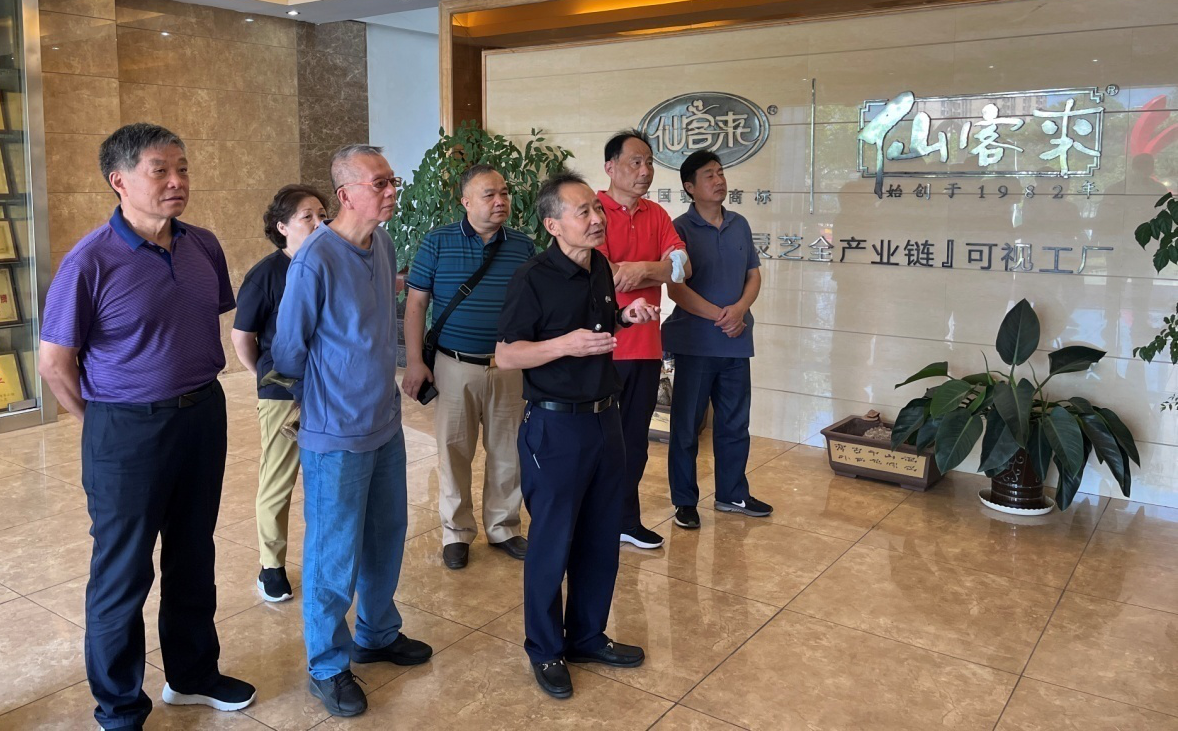 杭州亞運(yùn)會(huì)官方靈芝產(chǎn)品供應(yīng)商|杭州亞運(yùn)會(huì)官方供應(yīng)商|中國(guó)靈芝十大品牌|仙客來靈芝|仙客來靈芝破壁孢子粉|仙客來孢子油|仙客來靈芝飲片|仙客來破壁孢子粉|靈芝孢子油|孢子粉|靈芝破壁孢子粉|靈芝|中華老字號(hào) 杭州亞運(yùn)會(huì)官方靈芝產(chǎn)品供應(yīng)商|杭州亞運(yùn)會(huì)官方供應(yīng)商|中國(guó)靈芝十大品牌|仙客來靈芝|仙客來靈芝破壁孢子粉|仙客來孢子油|仙客來靈芝飲片|仙客來破壁孢子粉|靈芝孢子油|孢子粉|靈芝破壁孢子粉|靈芝|中華老字號(hào)