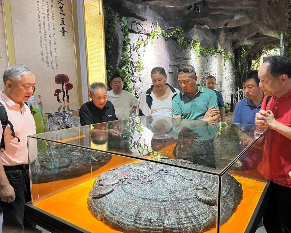 杭州亞運(yùn)會(huì)官方靈芝產(chǎn)品供應(yīng)商|杭州亞運(yùn)會(huì)官方供應(yīng)商|中國(guó)靈芝十大品牌|仙客來靈芝|仙客來靈芝破壁孢子粉|仙客來孢子油|仙客來靈芝飲片|仙客來破壁孢子粉|靈芝孢子油|孢子粉|靈芝破壁孢子粉|靈芝|中華老字號(hào) 杭州亞運(yùn)會(huì)官方靈芝產(chǎn)品供應(yīng)商|杭州亞運(yùn)會(huì)官方供應(yīng)商|中國(guó)靈芝十大品牌|仙客來靈芝|仙客來靈芝破壁孢子粉|仙客來孢子油|仙客來靈芝飲片|仙客來破壁孢子粉|靈芝孢子油|孢子粉|靈芝破壁孢子粉|靈芝|中華老字號(hào)