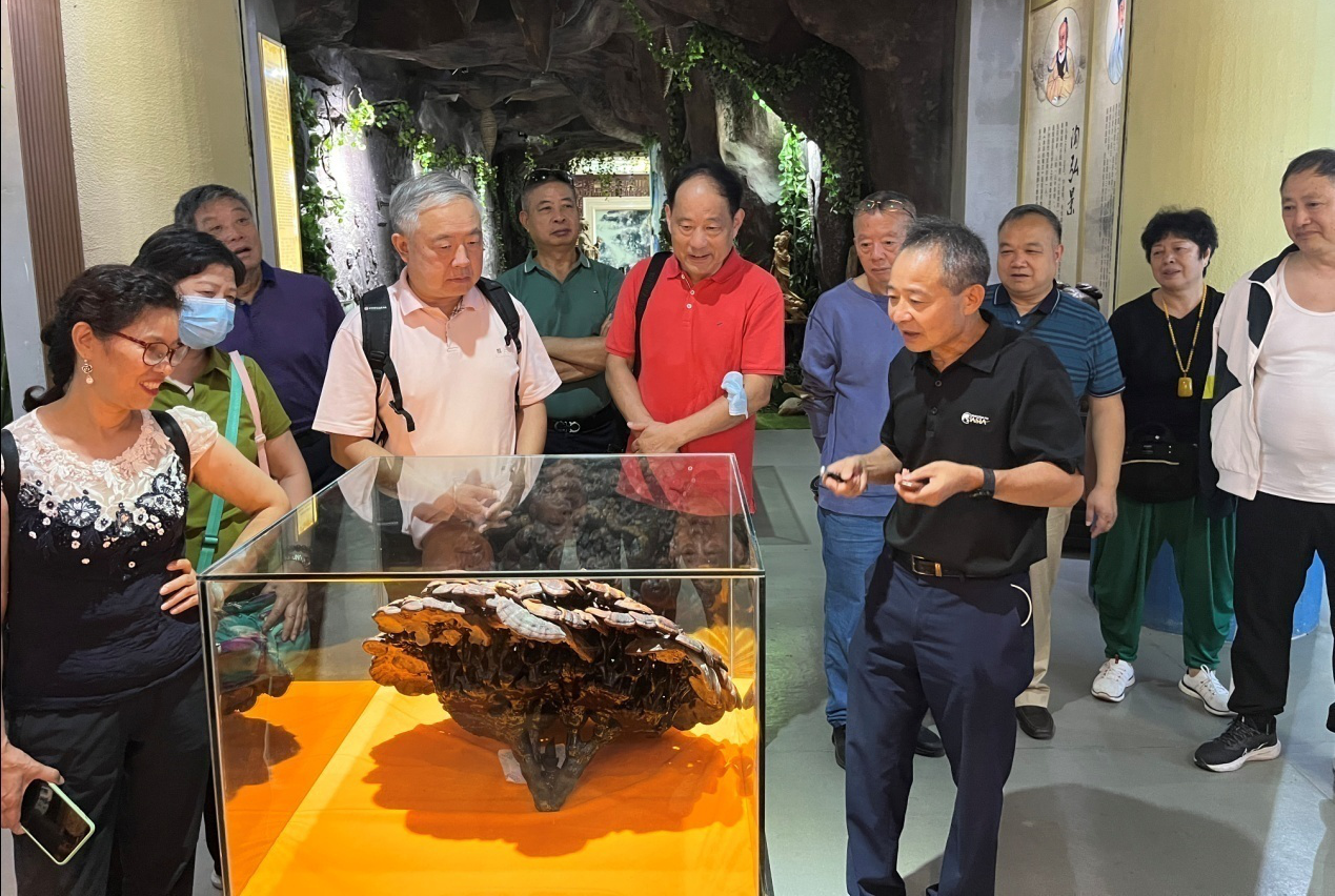 杭州亞運(yùn)會(huì)官方靈芝產(chǎn)品供應(yīng)商|杭州亞運(yùn)會(huì)官方供應(yīng)商|中國(guó)靈芝十大品牌|仙客來靈芝|仙客來靈芝破壁孢子粉|仙客來孢子油|仙客來靈芝飲片|仙客來破壁孢子粉|靈芝孢子油|孢子粉|靈芝破壁孢子粉|靈芝|中華老字號(hào) 杭州亞運(yùn)會(huì)官方靈芝產(chǎn)品供應(yīng)商|杭州亞運(yùn)會(huì)官方供應(yīng)商|中國(guó)靈芝十大品牌|仙客來靈芝|仙客來靈芝破壁孢子粉|仙客來孢子油|仙客來靈芝飲片|仙客來破壁孢子粉|靈芝孢子油|孢子粉|靈芝破壁孢子粉|靈芝|中華老字號(hào)