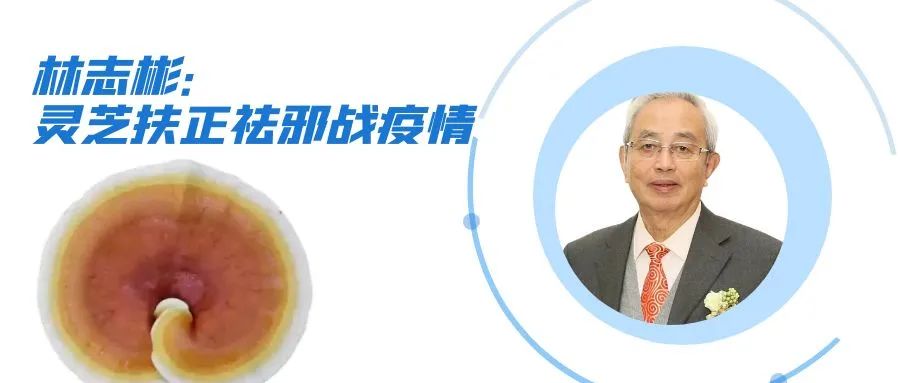 杭州亞運(yùn)會(huì)官方靈芝產(chǎn)品供應(yīng)商|杭州亞運(yùn)會(huì)官方供應(yīng)商|中國靈芝十大品牌|仙客來靈芝|仙客來靈芝破壁孢子粉|仙客來孢子油|仙客來靈芝飲片|仙客來破壁孢子粉|靈芝孢子油|孢子粉|靈芝破壁孢子粉|靈芝|中華老字號(hào) 杭州亞運(yùn)會(huì)官方靈芝產(chǎn)品供應(yīng)商|杭州亞運(yùn)會(huì)官方供應(yīng)商|中國靈芝十大品牌|仙客來靈芝|仙客來靈芝破壁孢子粉|仙客來孢子油|仙客來靈芝飲片|仙客來破壁孢子粉|靈芝孢子油|孢子粉|靈芝破壁孢子粉|靈芝|中華老字號(hào)