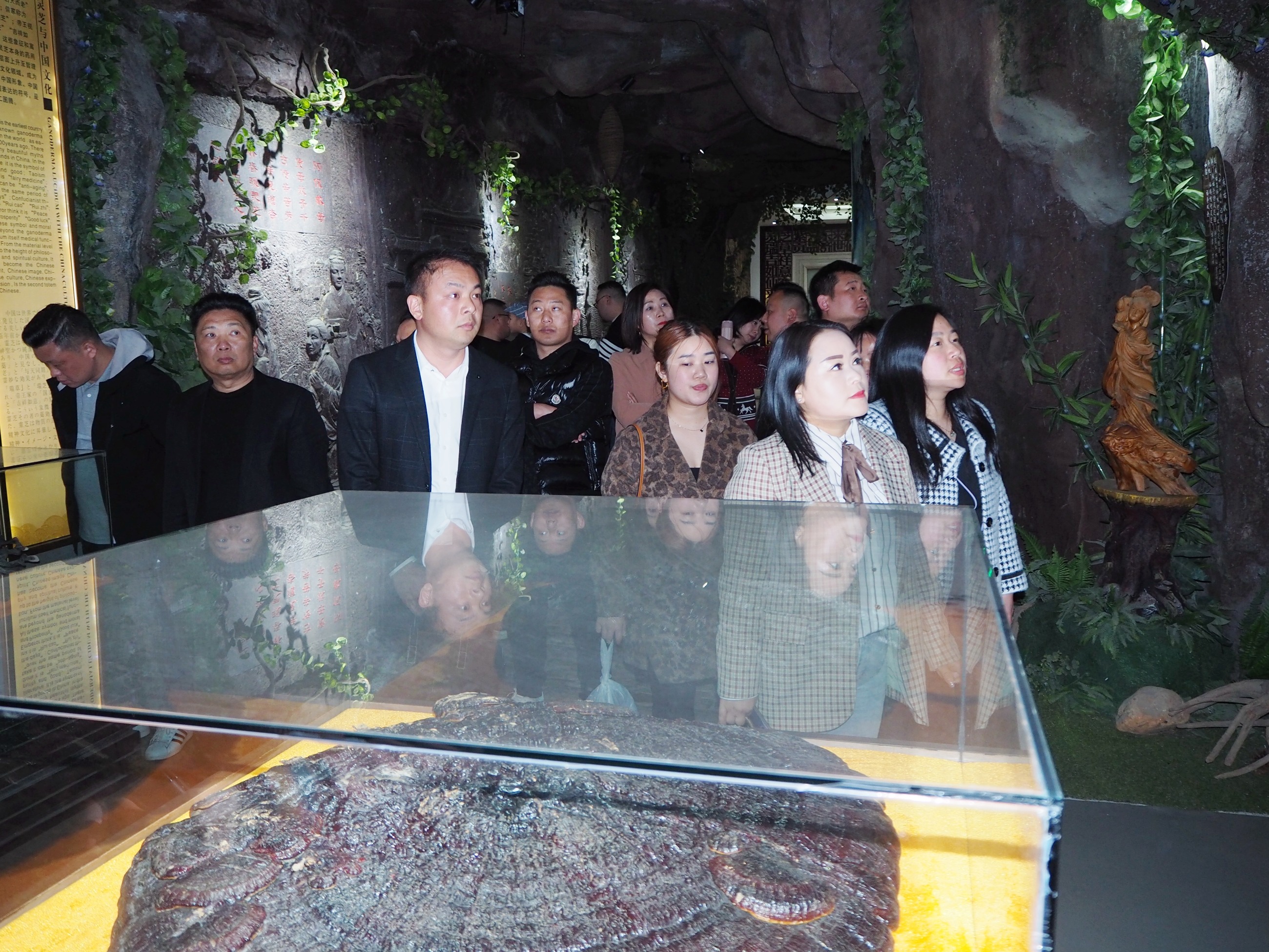 杭州亞運(yùn)會(huì)官方靈芝產(chǎn)品供應(yīng)商|杭州亞運(yùn)會(huì)官方供應(yīng)商|中國(guó)靈芝十大品牌|仙客來靈芝|仙客來靈芝破壁孢子粉|仙客來孢子油|仙客來靈芝飲片|仙客來破壁孢子粉|靈芝孢子油|孢子粉|靈芝破壁孢子粉|靈芝|中華老字號(hào) 杭州亞運(yùn)會(huì)官方靈芝產(chǎn)品供應(yīng)商|杭州亞運(yùn)會(huì)官方供應(yīng)商|中國(guó)靈芝十大品牌|仙客來靈芝|仙客來靈芝破壁孢子粉|仙客來孢子油|仙客來靈芝飲片|仙客來破壁孢子粉|靈芝孢子油|孢子粉|靈芝破壁孢子粉|靈芝|中華老字號(hào)