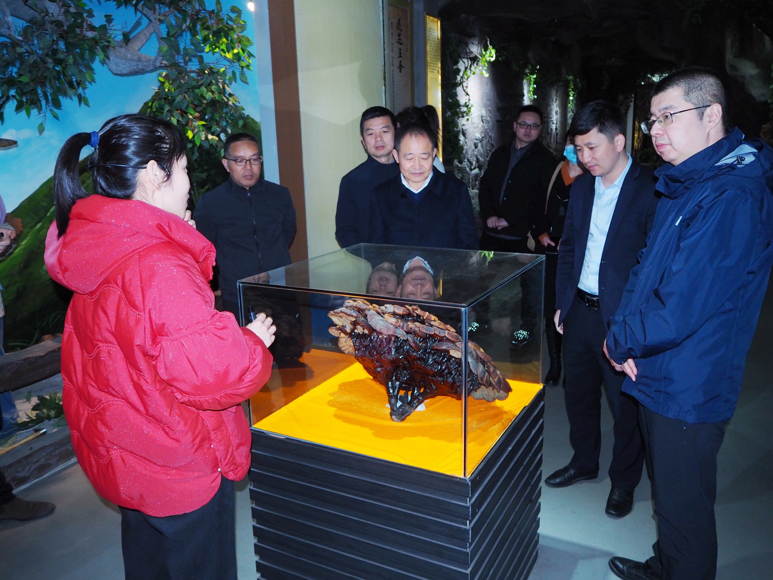 杭州亞運會官方靈芝產(chǎn)品供應商|杭州亞運會官方供應商|中國靈芝十大品牌|仙客來靈芝|仙客來靈芝破壁孢子粉|仙客來孢子油|仙客來靈芝飲片|仙客來破壁孢子粉|靈芝孢子油|孢子粉|靈芝破壁孢子粉|靈芝|中華老字號