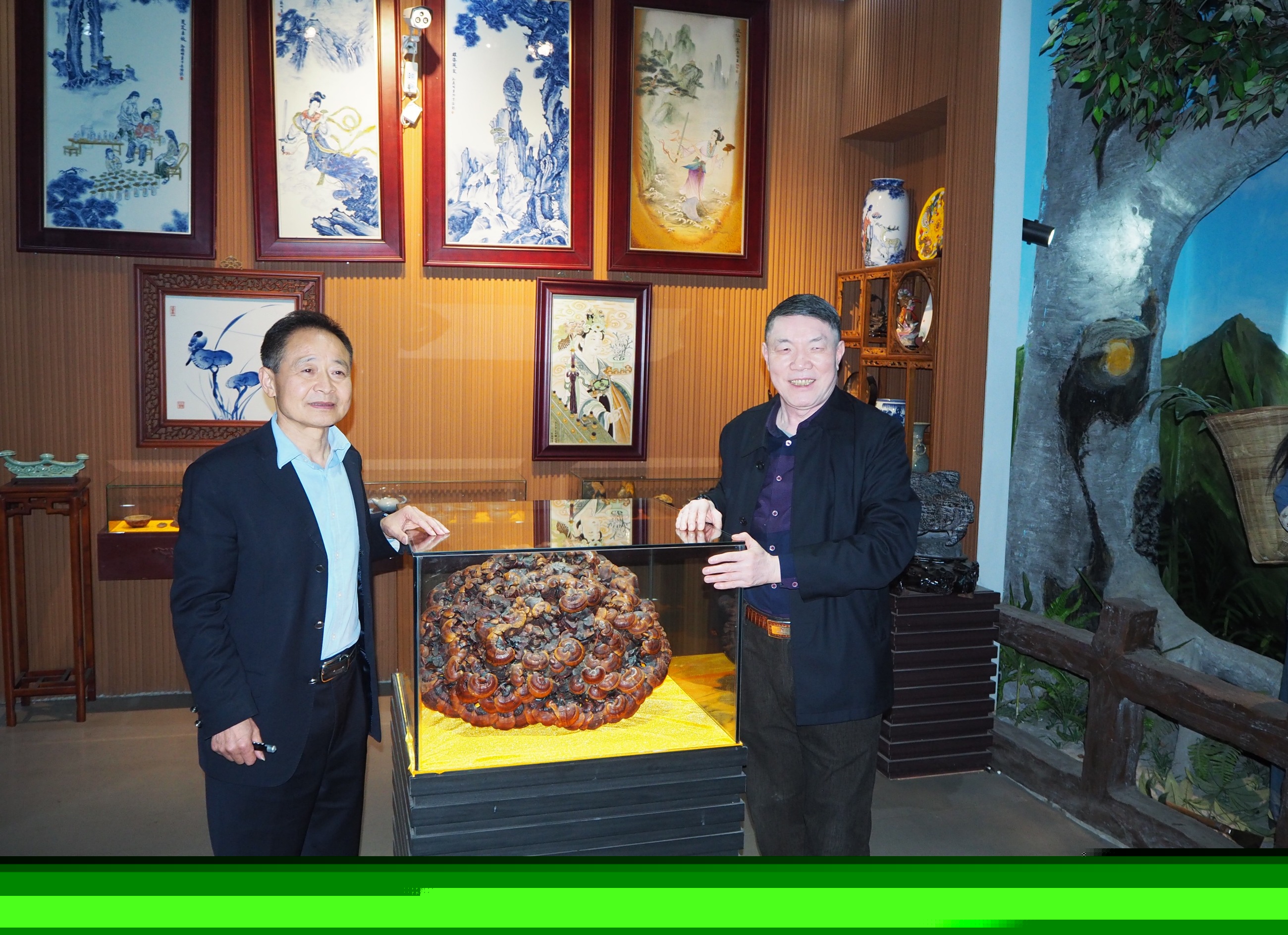 杭州亞運(yùn)會(huì)官方靈芝產(chǎn)品供應(yīng)商|杭州亞運(yùn)會(huì)官方供應(yīng)商|中國(guó)靈芝十大品牌|仙客來(lái)靈芝|仙客來(lái)靈芝破壁孢子粉|仙客來(lái)孢子油|仙客來(lái)靈芝飲片|仙客來(lái)破壁孢子粉|靈芝孢子油|孢子粉|靈芝破壁孢子粉|靈芝|中華老字號(hào) 杭州亞運(yùn)會(huì)官方靈芝產(chǎn)品供應(yīng)商|杭州亞運(yùn)會(huì)官方供應(yīng)商|中國(guó)靈芝十大品牌|仙客來(lái)靈芝|仙客來(lái)靈芝破壁孢子粉|仙客來(lái)孢子油|仙客來(lái)靈芝飲片|仙客來(lái)破壁孢子粉|靈芝孢子油|孢子粉|靈芝破壁孢子粉|靈芝|中華老字號(hào)