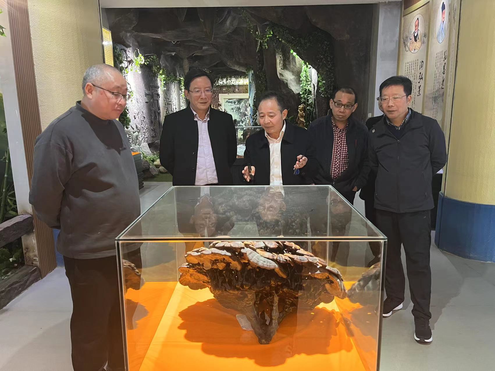 杭州亞運(yùn)會(huì)官方靈芝產(chǎn)品供應(yīng)商|杭州亞運(yùn)會(huì)官方供應(yīng)商|中國靈芝十大品牌|仙客來靈芝|仙客來靈芝破壁孢子粉|仙客來孢子油|仙客來靈芝飲片|仙客來破壁孢子粉|靈芝孢子油|孢子粉|靈芝破壁孢子粉|靈芝|中華老字號(hào) 杭州亞運(yùn)會(huì)官方靈芝產(chǎn)品供應(yīng)商|杭州亞運(yùn)會(huì)官方供應(yīng)商|中國靈芝十大品牌|仙客來靈芝|仙客來靈芝破壁孢子粉|仙客來孢子油|仙客來靈芝飲片|仙客來破壁孢子粉|靈芝孢子油|孢子粉|靈芝破壁孢子粉|靈芝|中華老字號(hào)