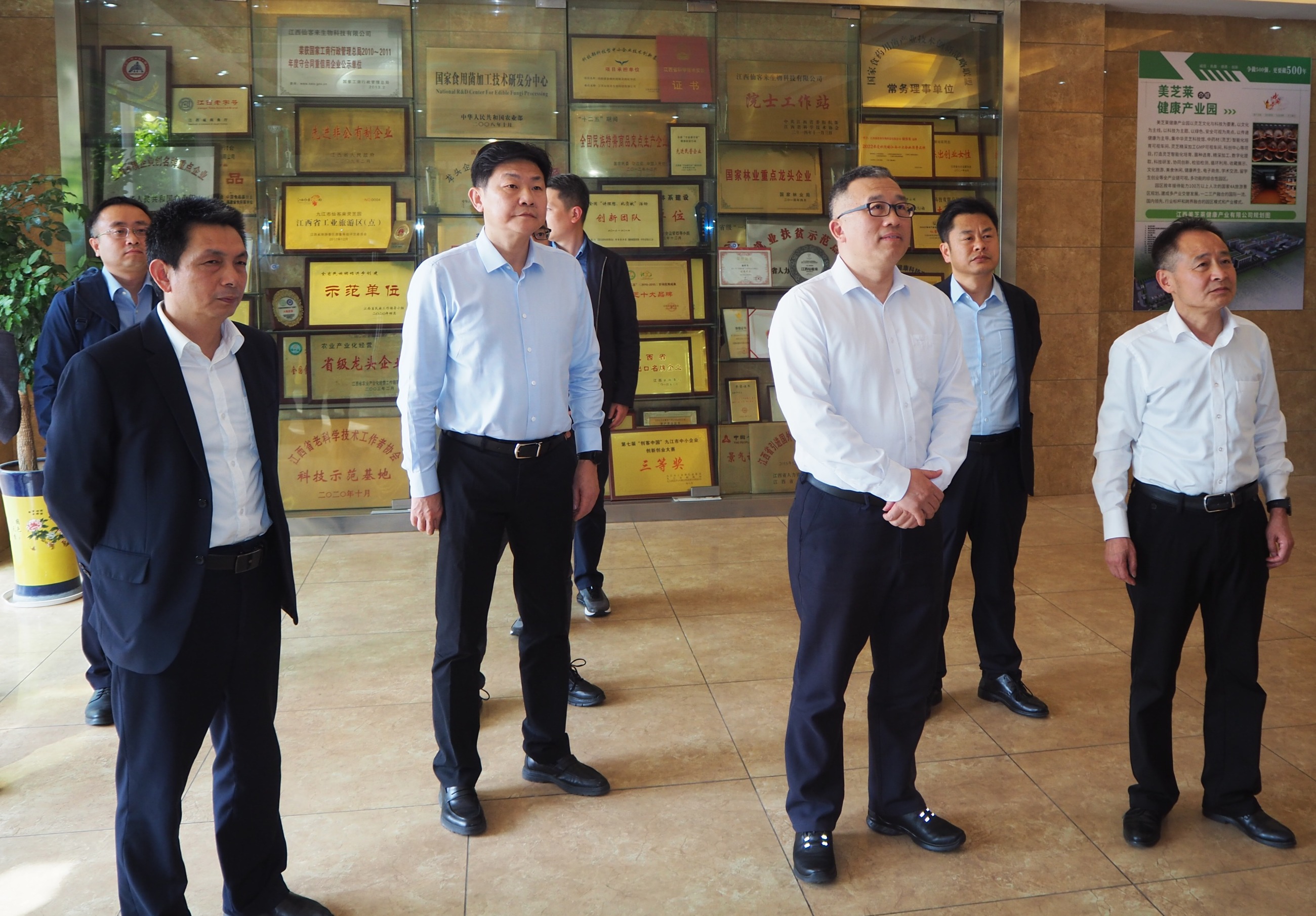 杭州亞運會官方靈芝產品供應商|杭州亞運會官方供應商|中國靈芝十大品牌|仙客來靈芝|仙客來靈芝破壁孢子粉|仙客來孢子油|仙客來靈芝飲片|仙客來破壁孢子粉|靈芝孢子油|孢子粉|靈芝破壁孢子粉|靈芝|中華老字號 杭州亞運會官方靈芝產品供應商|杭州亞運會官方供應商|中國靈芝十大品牌|仙客來靈芝|仙客來靈芝破壁孢子粉|仙客來孢子油|仙客來靈芝飲片|仙客來破壁孢子粉|靈芝孢子油|孢子粉|靈芝破壁孢子粉|靈芝|中華老字號