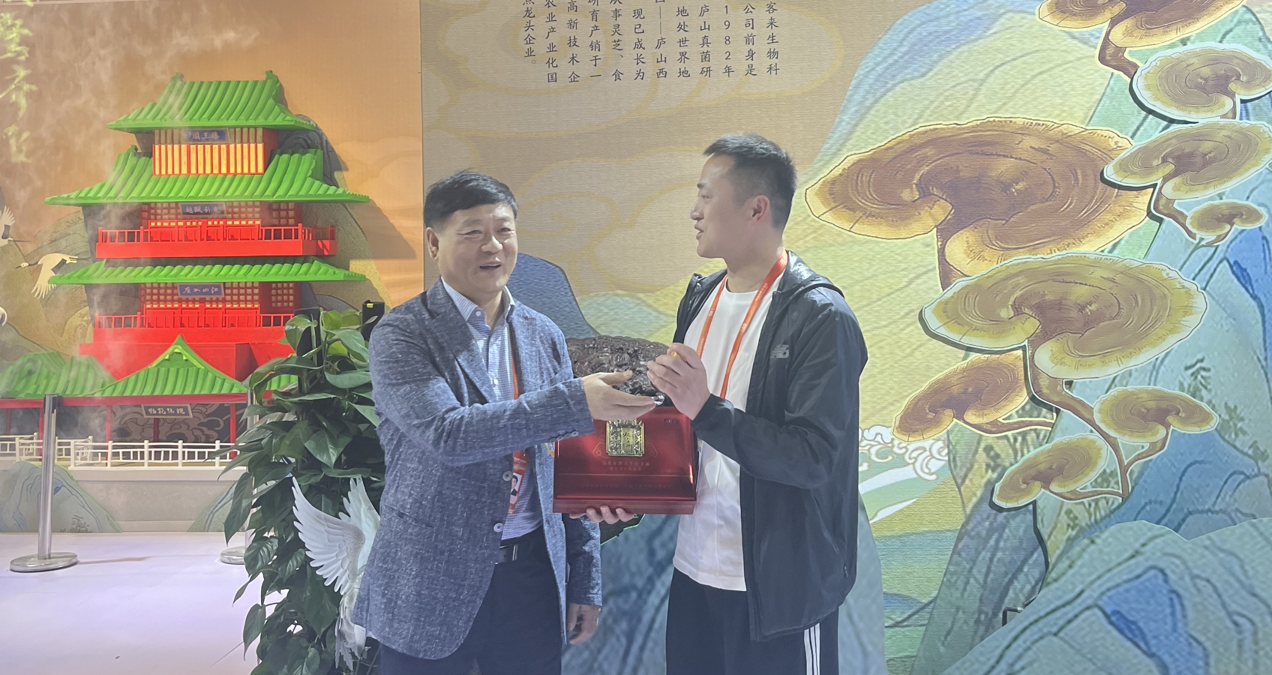 杭州亞運會官方靈芝產(chǎn)品供應(yīng)商|杭州亞運會官方供應(yīng)商|中國靈芝十大品牌|仙客來靈芝|仙客來靈芝破壁孢子粉|仙客來孢子油|仙客來靈芝飲片|仙客來破壁孢子粉|靈芝孢子油|孢子粉|靈芝破壁孢子粉|靈芝|中華老字號 杭州亞運會官方靈芝產(chǎn)品供應(yīng)商|杭州亞運會官方供應(yīng)商|中國靈芝十大品牌|仙客來靈芝|仙客來靈芝破壁孢子粉|仙客來孢子油|仙客來靈芝飲片|仙客來破壁孢子粉|靈芝孢子油|孢子粉|靈芝破壁孢子粉|靈芝|中華老字號