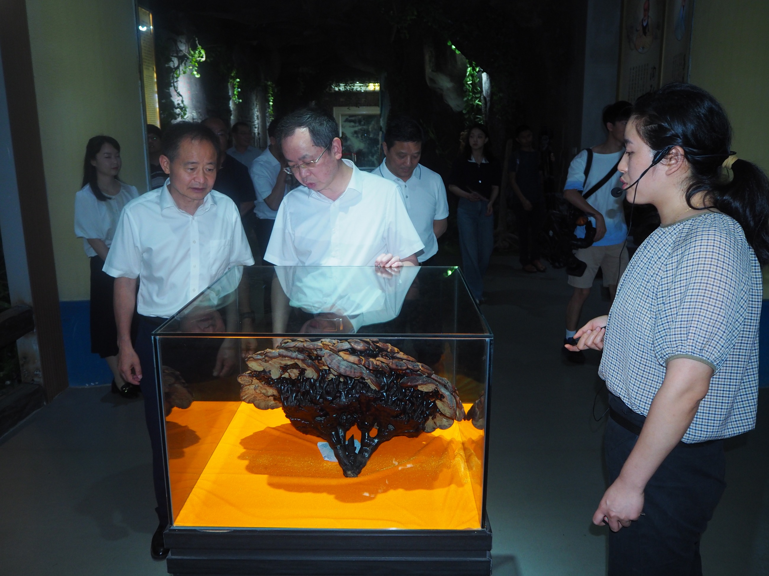 杭州亞運會官方靈芝產(chǎn)品供應商|杭州亞運會官方供應商|中國靈芝十大品牌|仙客來靈芝|仙客來靈芝破壁孢子粉|仙客來孢子油|仙客來靈芝飲片|仙客來破壁孢子粉|靈芝孢子油|孢子粉|靈芝破壁孢子粉|靈芝|中華老字號 杭州亞運會官方靈芝產(chǎn)品供應商|杭州亞運會官方供應商|中國靈芝十大品牌|仙客來靈芝|仙客來靈芝破壁孢子粉|仙客來孢子油|仙客來靈芝飲片|仙客來破壁孢子粉|靈芝孢子油|孢子粉|靈芝破壁孢子粉|靈芝|中華老字號