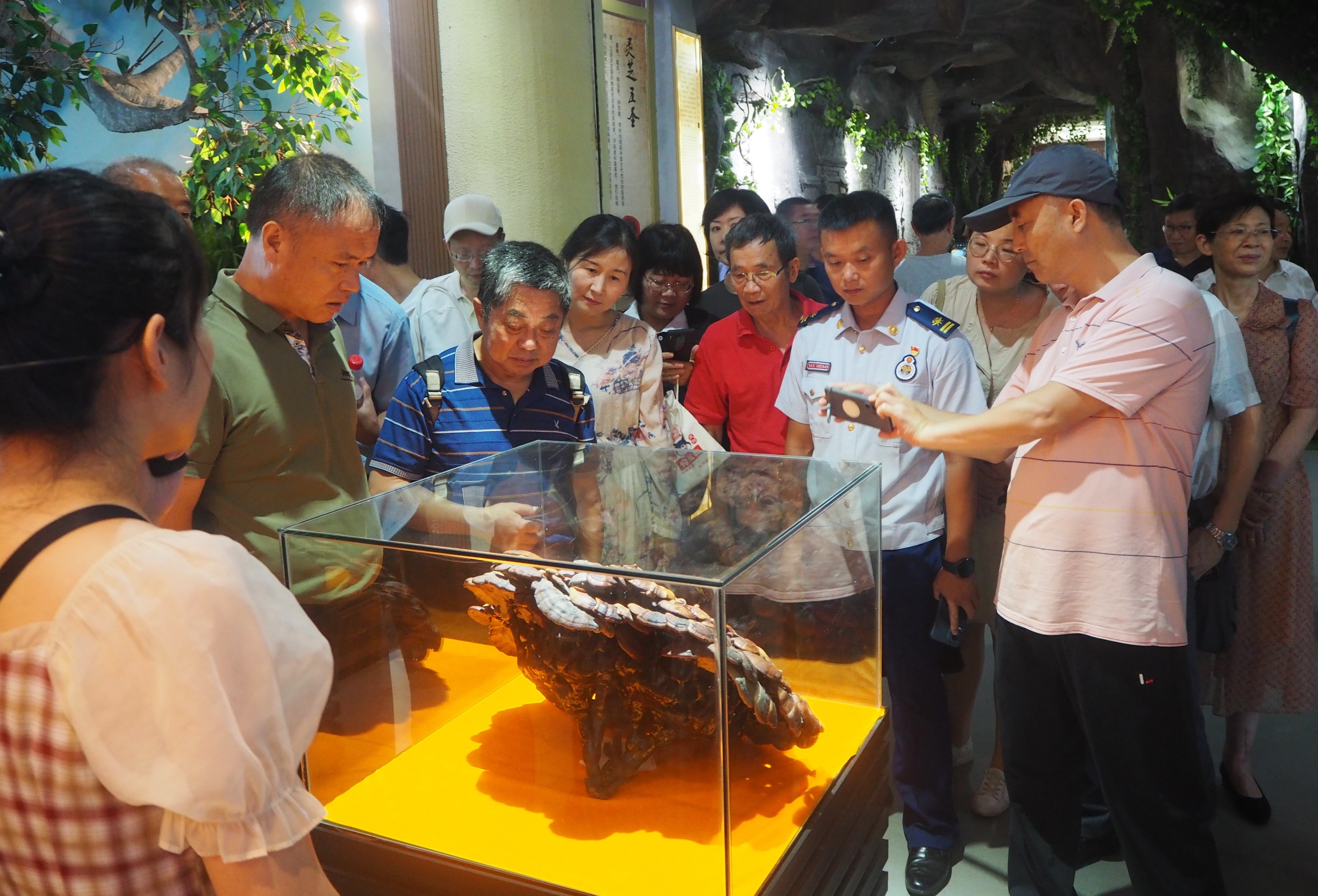 杭州亞運(yùn)會(huì)官方靈芝產(chǎn)品供應(yīng)商|杭州亞運(yùn)會(huì)官方供應(yīng)商|中國(guó)靈芝十大品牌|仙客來靈芝|仙客來靈芝破壁孢子粉|仙客來孢子油|仙客來靈芝飲片|仙客來破壁孢子粉|靈芝孢子油|孢子粉|靈芝破壁孢子粉|靈芝|中華老字號(hào)