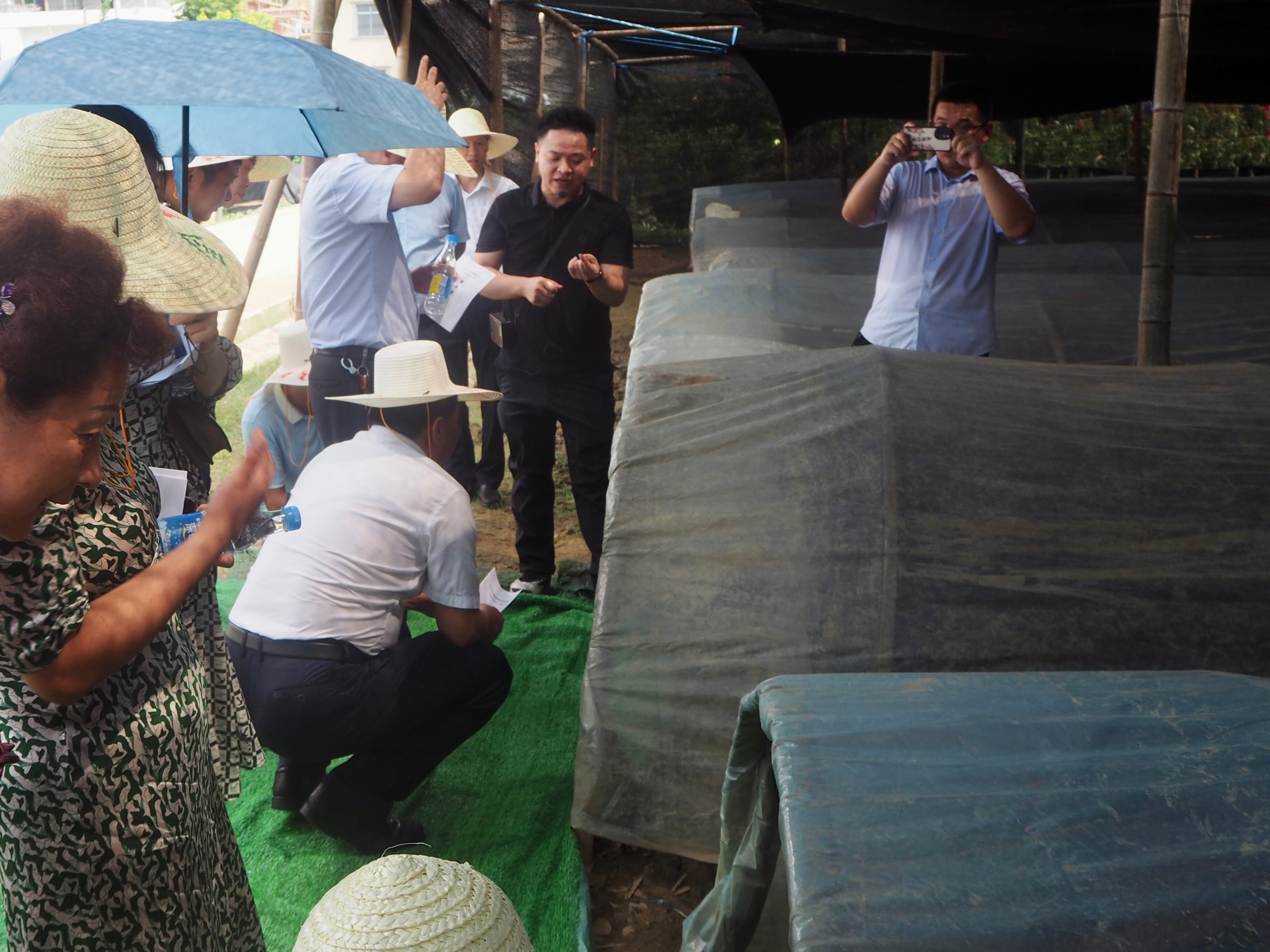 杭州亞運會官方靈芝產品供應商|杭州亞運會官方供應商|中國靈芝十大品牌|仙客來靈芝|仙客來靈芝破壁孢子粉|仙客來孢子油|仙客來靈芝飲片|仙客來破壁孢子粉|靈芝孢子油|孢子粉|靈芝破壁孢子粉|靈芝|中華老字號 杭州亞運會官方靈芝產品供應商|杭州亞運會官方供應商|中國靈芝十大品牌|仙客來靈芝|仙客來靈芝破壁孢子粉|仙客來孢子油|仙客來靈芝飲片|仙客來破壁孢子粉|靈芝孢子油|孢子粉|靈芝破壁孢子粉|靈芝|中華老字號