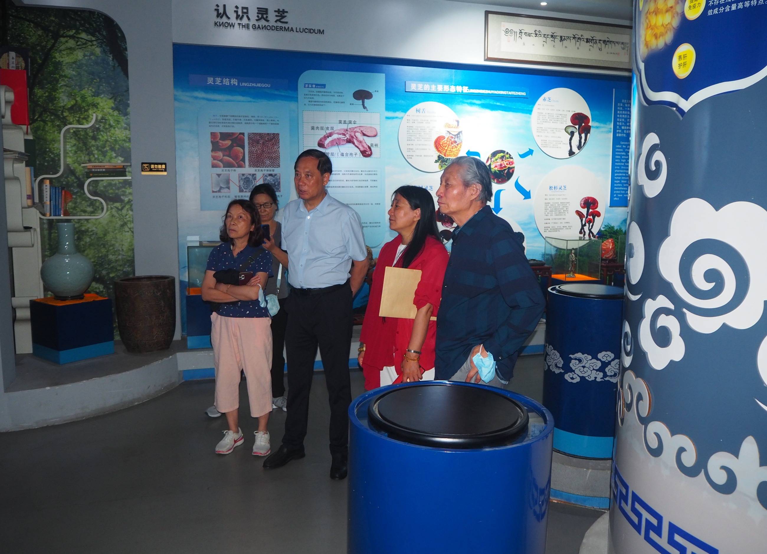 杭州亞運(yùn)會(huì)官方靈芝產(chǎn)品供應(yīng)商|杭州亞運(yùn)會(huì)官方供應(yīng)商|中國(guó)靈芝十大品牌|仙客來(lái)靈芝|仙客來(lái)靈芝破壁孢子粉|仙客來(lái)孢子油|仙客來(lái)靈芝飲片|仙客來(lái)破壁孢子粉|靈芝孢子油|孢子粉|靈芝破壁孢子粉|靈芝|中華老字號(hào) 杭州亞運(yùn)會(huì)官方靈芝產(chǎn)品供應(yīng)商|杭州亞運(yùn)會(huì)官方供應(yīng)商|中國(guó)靈芝十大品牌|仙客來(lái)靈芝|仙客來(lái)靈芝破壁孢子粉|仙客來(lái)孢子油|仙客來(lái)靈芝飲片|仙客來(lái)破壁孢子粉|靈芝孢子油|孢子粉|靈芝破壁孢子粉|靈芝|中華老字號(hào)