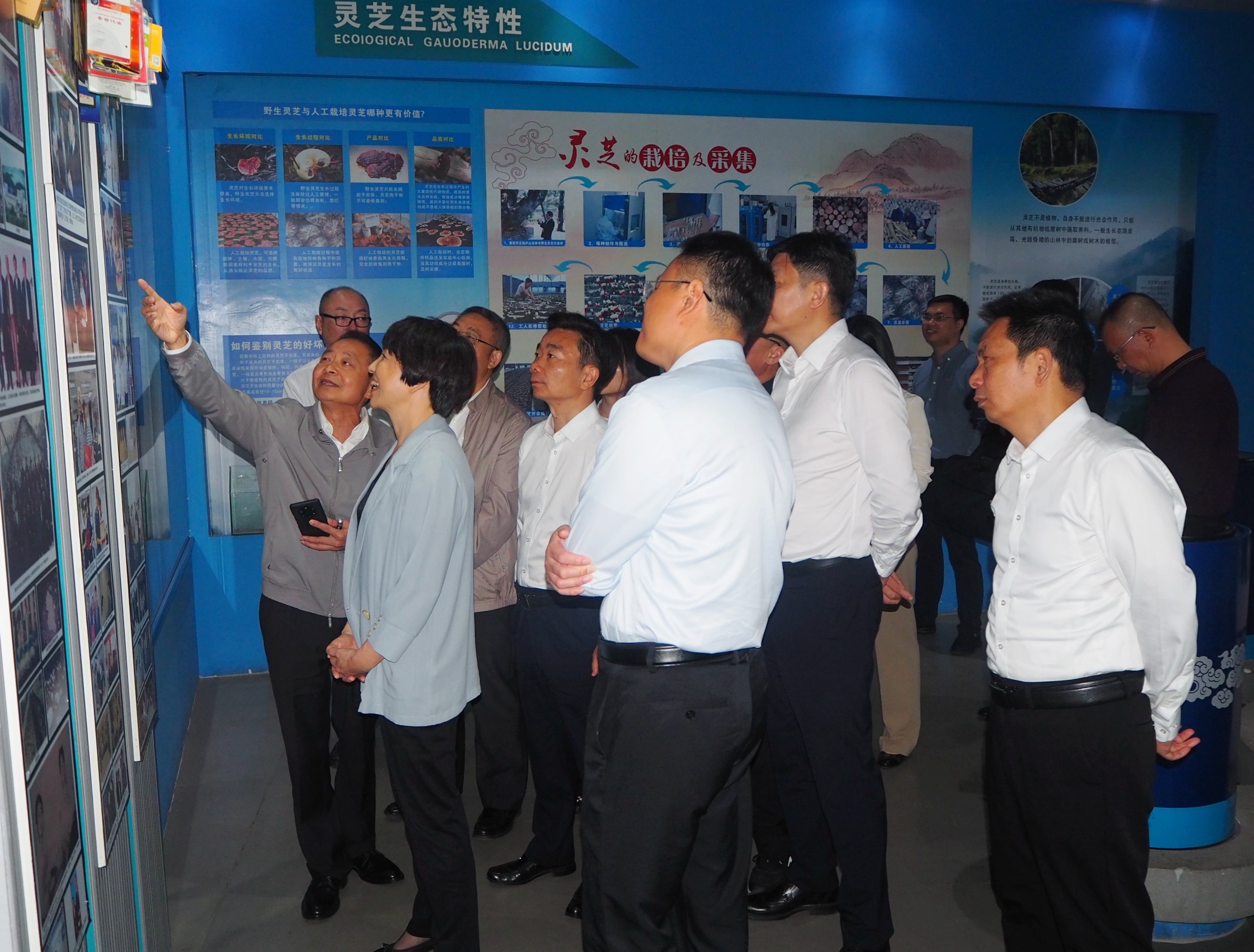 杭州亞運(yùn)會(huì)官方靈芝產(chǎn)品供應(yīng)商|杭州亞運(yùn)會(huì)官方供應(yīng)商|中國(guó)靈芝十大品牌|仙客來(lái)靈芝|仙客來(lái)靈芝破壁孢子粉|仙客來(lái)孢子油|仙客來(lái)靈芝飲片|仙客來(lái)破壁孢子粉|靈芝孢子油|孢子粉|靈芝破壁孢子粉|靈芝|中華老字號(hào) 杭州亞運(yùn)會(huì)官方靈芝產(chǎn)品供應(yīng)商|杭州亞運(yùn)會(huì)官方供應(yīng)商|中國(guó)靈芝十大品牌|仙客來(lái)靈芝|仙客來(lái)靈芝破壁孢子粉|仙客來(lái)孢子油|仙客來(lái)靈芝飲片|仙客來(lái)破壁孢子粉|靈芝孢子油|孢子粉|靈芝破壁孢子粉|靈芝|中華老字號(hào)