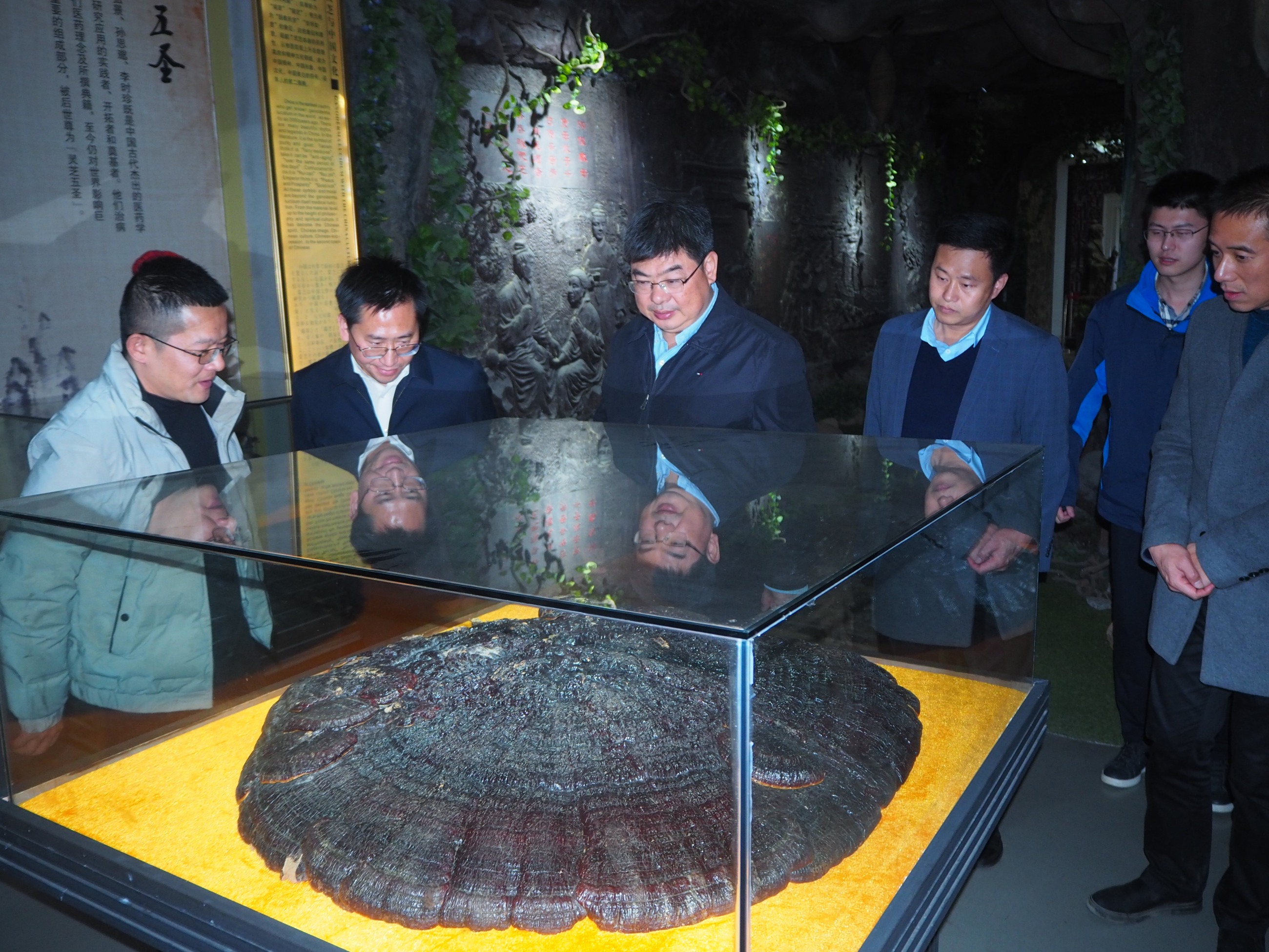 杭州亞運(yùn)會(huì)官方靈芝產(chǎn)品供應(yīng)商|杭州亞運(yùn)會(huì)官方供應(yīng)商|中國(guó)靈芝十大品牌|仙客來靈芝|仙客來靈芝破壁孢子粉|仙客來孢子油|仙客來靈芝飲片|仙客來破壁孢子粉|靈芝孢子油|孢子粉|靈芝破壁孢子粉|靈芝|中華老字號(hào) 杭州亞運(yùn)會(huì)官方靈芝產(chǎn)品供應(yīng)商|杭州亞運(yùn)會(huì)官方供應(yīng)商|中國(guó)靈芝十大品牌|仙客來靈芝|仙客來靈芝破壁孢子粉|仙客來孢子油|仙客來靈芝飲片|仙客來破壁孢子粉|靈芝孢子油|孢子粉|靈芝破壁孢子粉|靈芝|中華老字號(hào)