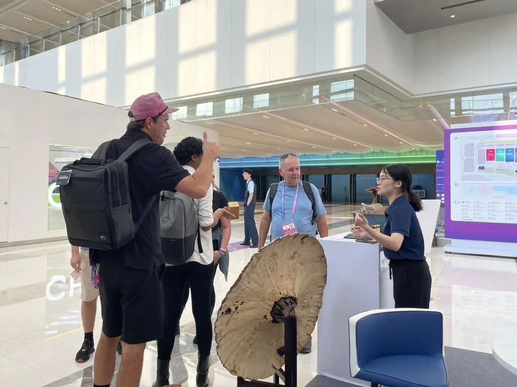 杭州亞運會官方靈芝產(chǎn)品供應商|杭州亞運會官方供應商|中國靈芝十大品牌|仙客來靈芝|仙客來靈芝破壁孢子粉|仙客來孢子油|仙客來靈芝飲片|仙客來破壁孢子粉|靈芝孢子油|孢子粉|靈芝破壁孢子粉|靈芝|中華老字號 杭州亞運會官方靈芝產(chǎn)品供應商|杭州亞運會官方供應商|中國靈芝十大品牌|仙客來靈芝|仙客來靈芝破壁孢子粉|仙客來孢子油|仙客來靈芝飲片|仙客來破壁孢子粉|靈芝孢子油|孢子粉|靈芝破壁孢子粉|靈芝|中華老字號