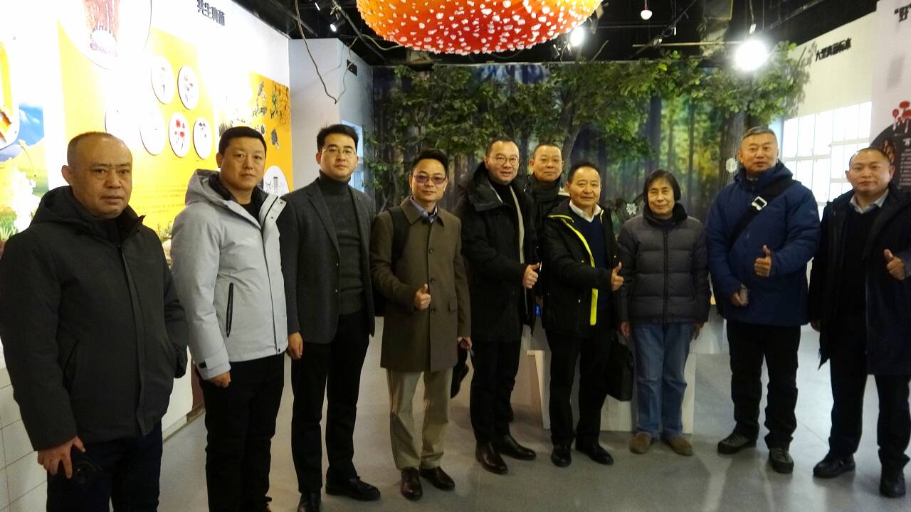 杭州亞運(yùn)會(huì)官方靈芝產(chǎn)品供應(yīng)商|杭州亞運(yùn)會(huì)官方供應(yīng)商|中國(guó)靈芝十大品牌|仙客來靈芝|仙客來靈芝破壁孢子粉|仙客來孢子油|仙客來靈芝飲片|仙客來破壁孢子粉|靈芝孢子油|孢子粉|靈芝破壁孢子粉|靈芝|中華老字號(hào) 杭州亞運(yùn)會(huì)官方靈芝產(chǎn)品供應(yīng)商|杭州亞運(yùn)會(huì)官方供應(yīng)商|中國(guó)靈芝十大品牌|仙客來靈芝|仙客來靈芝破壁孢子粉|仙客來孢子油|仙客來靈芝飲片|仙客來破壁孢子粉|靈芝孢子油|孢子粉|靈芝破壁孢子粉|靈芝|中華老字號(hào)