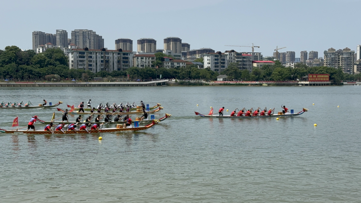 杭州亞運會官方靈芝產(chǎn)品供應(yīng)商|杭州亞運會官方供應(yīng)商|中國靈芝十大品牌|仙客來靈芝|仙客來靈芝破壁孢子粉|仙客來孢子油|仙客來靈芝飲片|仙客來破壁孢子粉|靈芝孢子油|孢子粉|靈芝破壁孢子粉|靈芝|中華老字號 杭州亞運會官方靈芝產(chǎn)品供應(yīng)商|杭州亞運會官方供應(yīng)商|中國靈芝十大品牌|仙客來靈芝|仙客來靈芝破壁孢子粉|仙客來孢子油|仙客來靈芝飲片|仙客來破壁孢子粉|靈芝孢子油|孢子粉|靈芝破壁孢子粉|靈芝|中華老字號