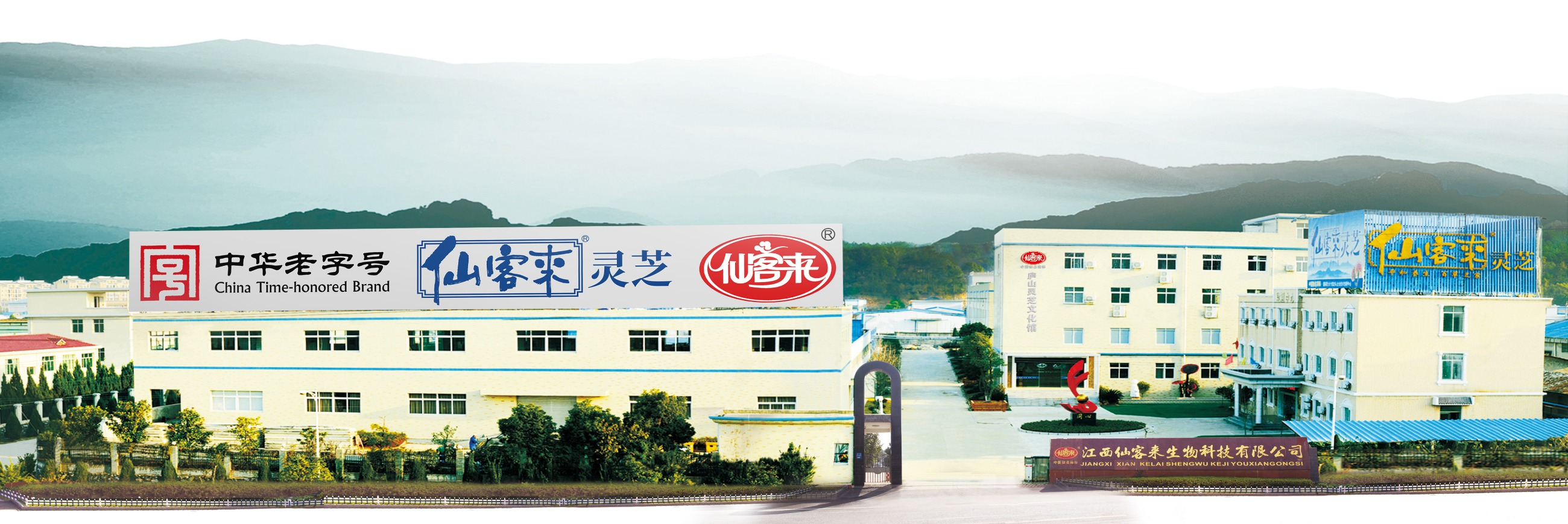 杭州亞運(yùn)會(huì)官方靈芝產(chǎn)品供應(yīng)商|杭州亞運(yùn)會(huì)官方供應(yīng)商|中國靈芝十大品牌|仙客來靈芝|仙客來靈芝破壁孢子粉|仙客來孢子油|仙客來靈芝飲片|仙客來破壁孢子粉|靈芝孢子油|孢子粉|靈芝破壁孢子粉|靈芝|中華老字號(hào) 杭州亞運(yùn)會(huì)官方靈芝產(chǎn)品供應(yīng)商|杭州亞運(yùn)會(huì)官方供應(yīng)商|中國靈芝十大品牌|仙客來靈芝|仙客來靈芝破壁孢子粉|仙客來孢子油|仙客來靈芝飲片|仙客來破壁孢子粉|靈芝孢子油|孢子粉|靈芝破壁孢子粉|靈芝|中華老字號(hào)