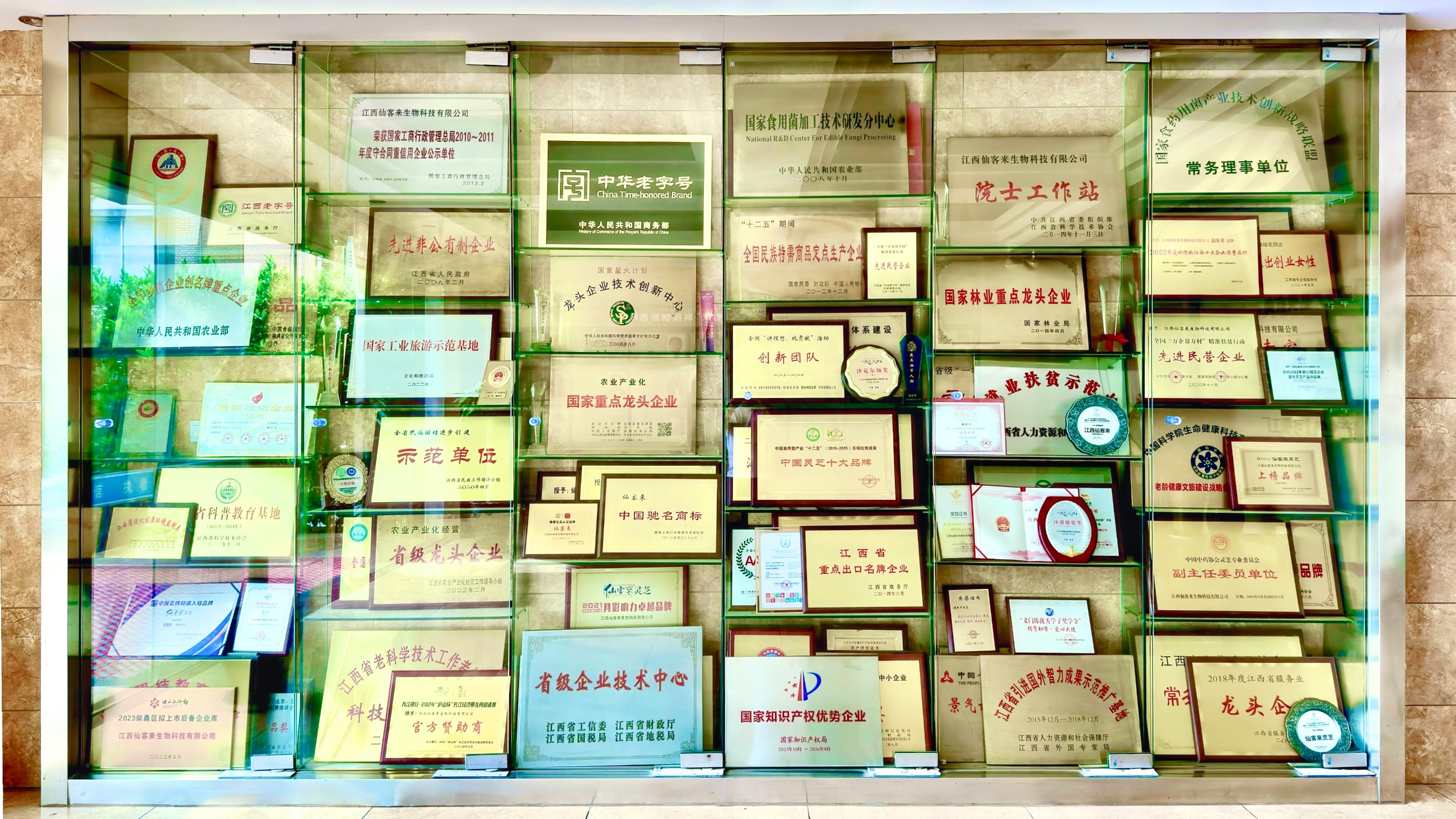 杭州亞運會官方靈芝產(chǎn)品供應(yīng)商|杭州亞運會官方供應(yīng)商|中國靈芝十大品牌|仙客來靈芝|仙客來靈芝破壁孢子粉|仙客來孢子油|仙客來靈芝飲片|仙客來破壁孢子粉|靈芝孢子油|孢子粉|靈芝破壁孢子粉|靈芝|中華老字號 杭州亞運會官方靈芝產(chǎn)品供應(yīng)商|杭州亞運會官方供應(yīng)商|中國靈芝十大品牌|仙客來靈芝|仙客來靈芝破壁孢子粉|仙客來孢子油|仙客來靈芝飲片|仙客來破壁孢子粉|靈芝孢子油|孢子粉|靈芝破壁孢子粉|靈芝|中華老字號