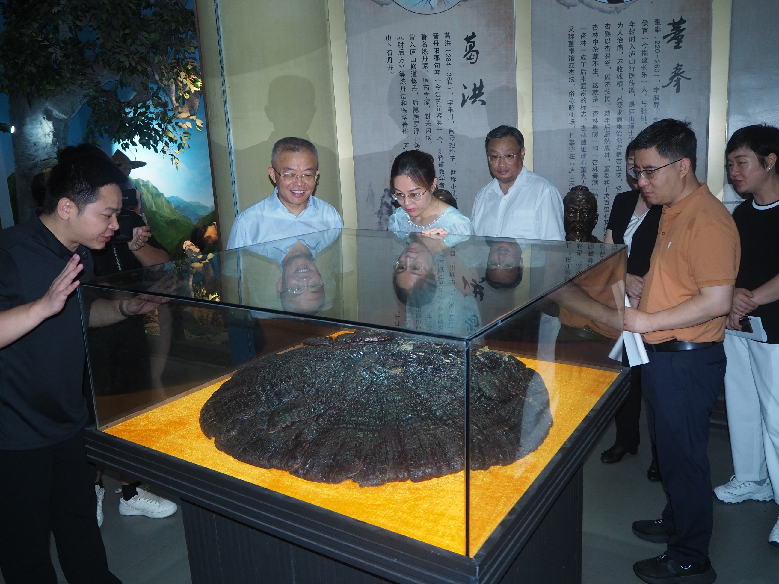 杭州亞運會官方靈芝產(chǎn)品供應商|杭州亞運會官方供應商|中國靈芝十大品牌|仙客來靈芝|仙客來靈芝破壁孢子粉|仙客來孢子油|仙客來靈芝飲片|仙客來破壁孢子粉|靈芝孢子油|孢子粉|靈芝破壁孢子粉|靈芝|中華老字號 杭州亞運會官方靈芝產(chǎn)品供應商|杭州亞運會官方供應商|中國靈芝十大品牌|仙客來靈芝|仙客來靈芝破壁孢子粉|仙客來孢子油|仙客來靈芝飲片|仙客來破壁孢子粉|靈芝孢子油|孢子粉|靈芝破壁孢子粉|靈芝|中華老字號