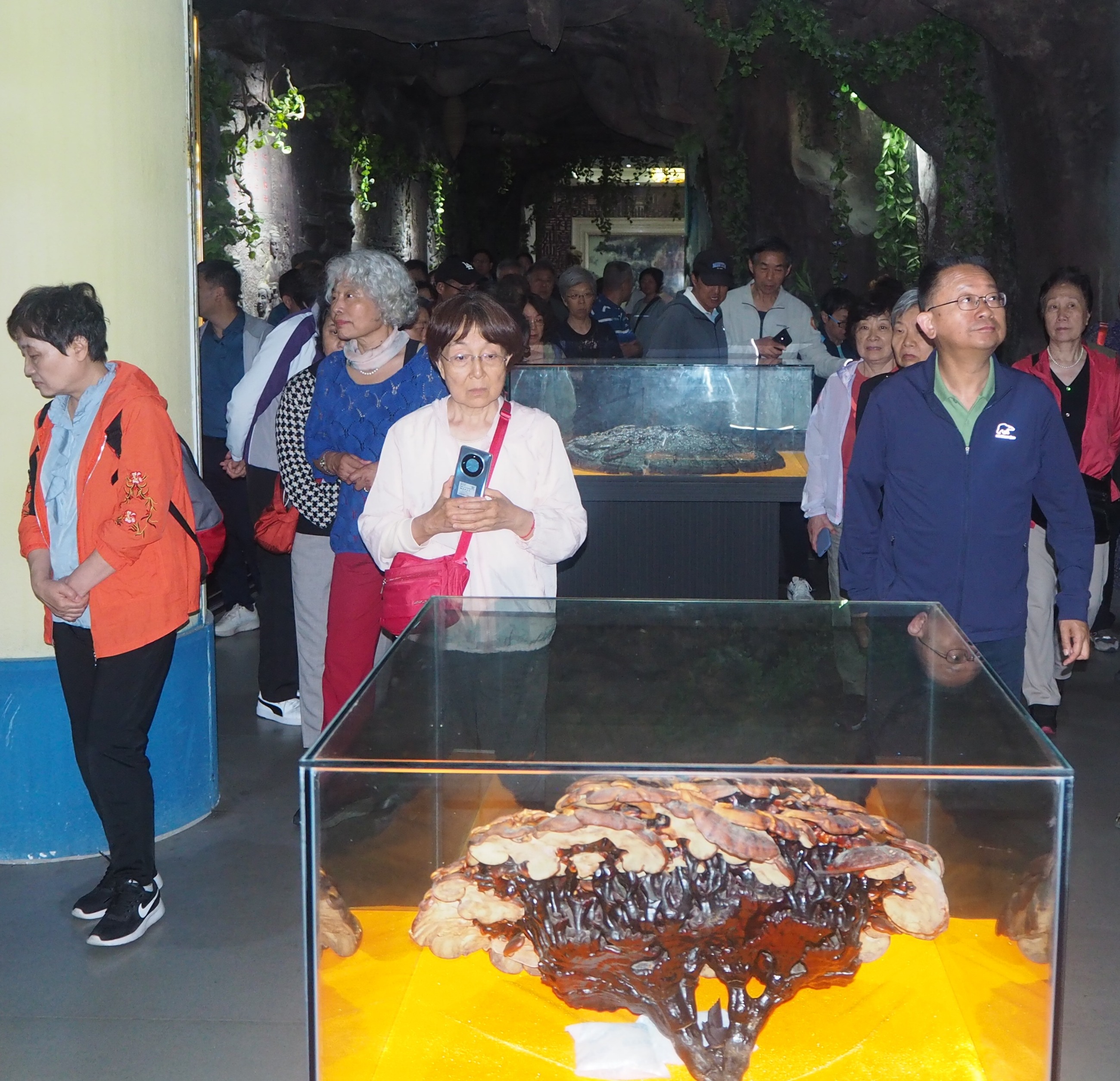 杭州亞運(yùn)會(huì)官方靈芝產(chǎn)品供應(yīng)商|杭州亞運(yùn)會(huì)官方供應(yīng)商|中國(guó)靈芝十大品牌|仙客來(lái)靈芝|仙客來(lái)靈芝破壁孢子粉|仙客來(lái)孢子油|仙客來(lái)靈芝飲片|仙客來(lái)破壁孢子粉|靈芝孢子油|孢子粉|靈芝破壁孢子粉|靈芝|中華老字號(hào) 杭州亞運(yùn)會(huì)官方靈芝產(chǎn)品供應(yīng)商|杭州亞運(yùn)會(huì)官方供應(yīng)商|中國(guó)靈芝十大品牌|仙客來(lái)靈芝|仙客來(lái)靈芝破壁孢子粉|仙客來(lái)孢子油|仙客來(lái)靈芝飲片|仙客來(lái)破壁孢子粉|靈芝孢子油|孢子粉|靈芝破壁孢子粉|靈芝|中華老字號(hào)