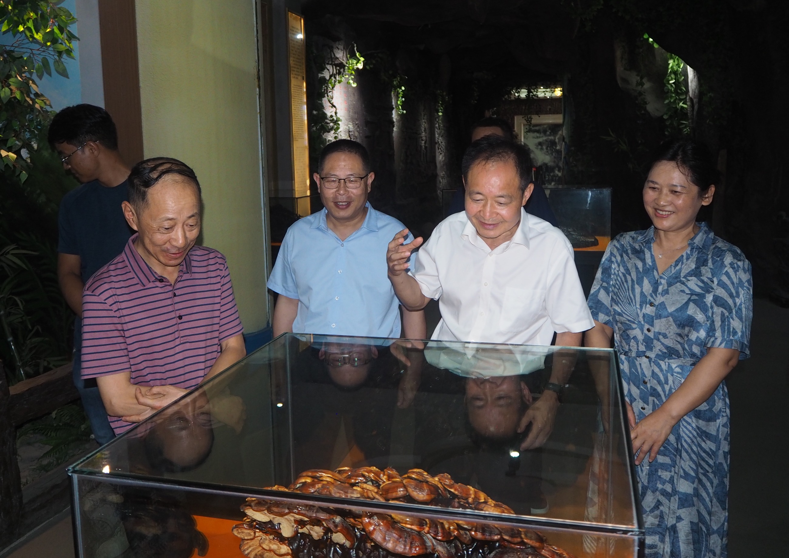 杭州亞運會官方靈芝產(chǎn)品供應商|杭州亞運會官方供應商|中國靈芝十大品牌|仙客來靈芝|仙客來靈芝破壁孢子粉|仙客來孢子油|仙客來靈芝飲片|仙客來破壁孢子粉|靈芝孢子油|孢子粉|靈芝破壁孢子粉|靈芝|中華老字號 杭州亞運會官方靈芝產(chǎn)品供應商|杭州亞運會官方供應商|中國靈芝十大品牌|仙客來靈芝|仙客來靈芝破壁孢子粉|仙客來孢子油|仙客來靈芝飲片|仙客來破壁孢子粉|靈芝孢子油|孢子粉|靈芝破壁孢子粉|靈芝|中華老字號