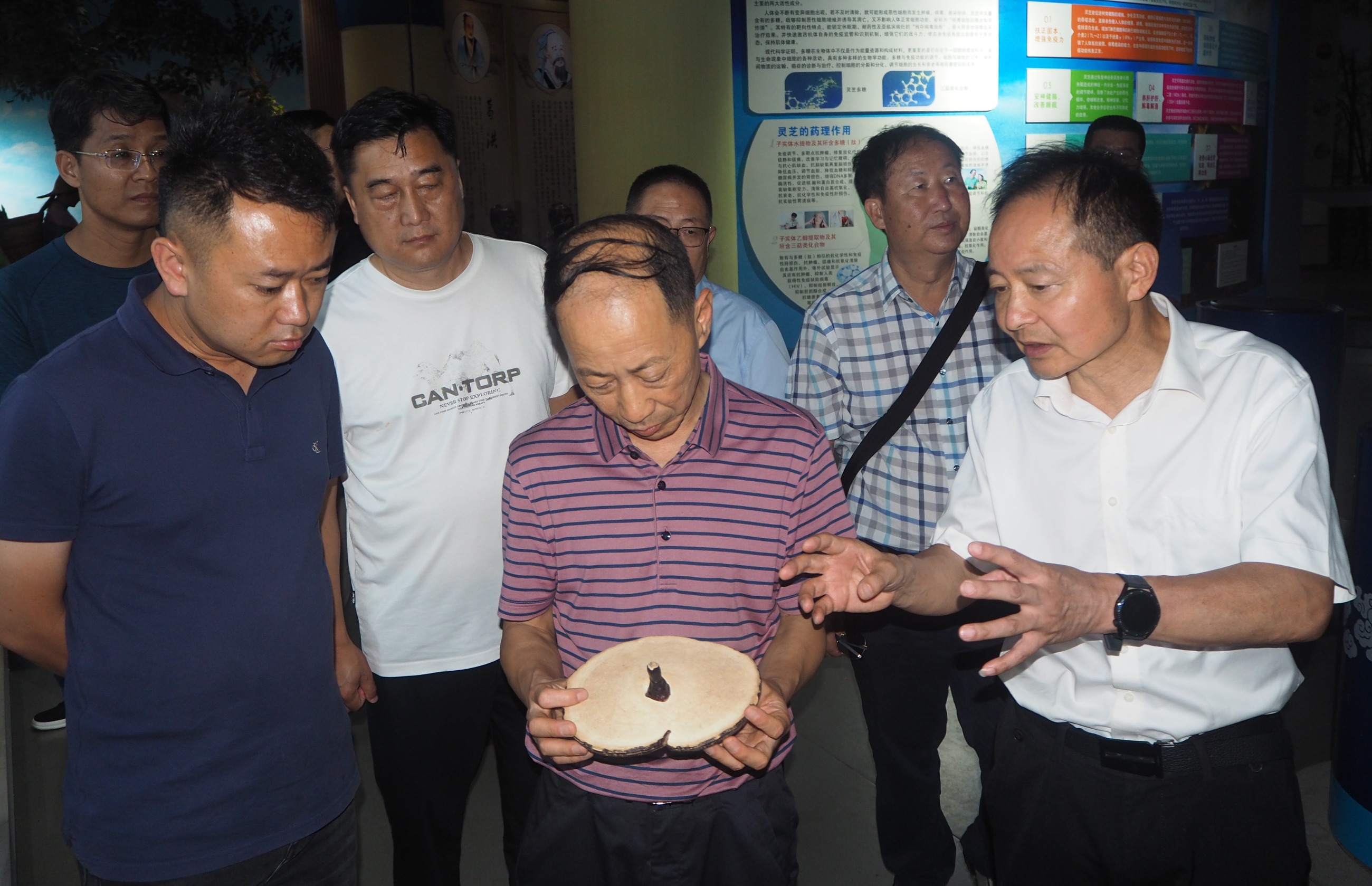 杭州亞運會官方靈芝產(chǎn)品供應商|杭州亞運會官方供應商|中國靈芝十大品牌|仙客來靈芝|仙客來靈芝破壁孢子粉|仙客來孢子油|仙客來靈芝飲片|仙客來破壁孢子粉|靈芝孢子油|孢子粉|靈芝破壁孢子粉|靈芝|中華老字號 杭州亞運會官方靈芝產(chǎn)品供應商|杭州亞運會官方供應商|中國靈芝十大品牌|仙客來靈芝|仙客來靈芝破壁孢子粉|仙客來孢子油|仙客來靈芝飲片|仙客來破壁孢子粉|靈芝孢子油|孢子粉|靈芝破壁孢子粉|靈芝|中華老字號