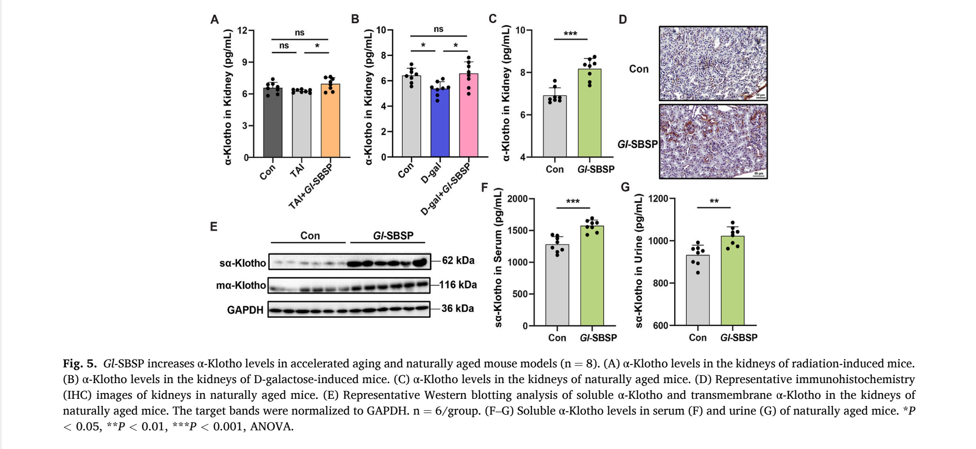 杭州亞運(yùn)會官方靈芝產(chǎn)品供應(yīng)商|杭州亞運(yùn)會官方供應(yīng)商|中國靈芝十大品牌|仙客來靈芝|仙客來靈芝破壁孢子粉|仙客來孢子油|仙客來靈芝飲片|仙客來破壁孢子粉|靈芝孢子油|孢子粉|靈芝破壁孢子粉|靈芝|中華老字號