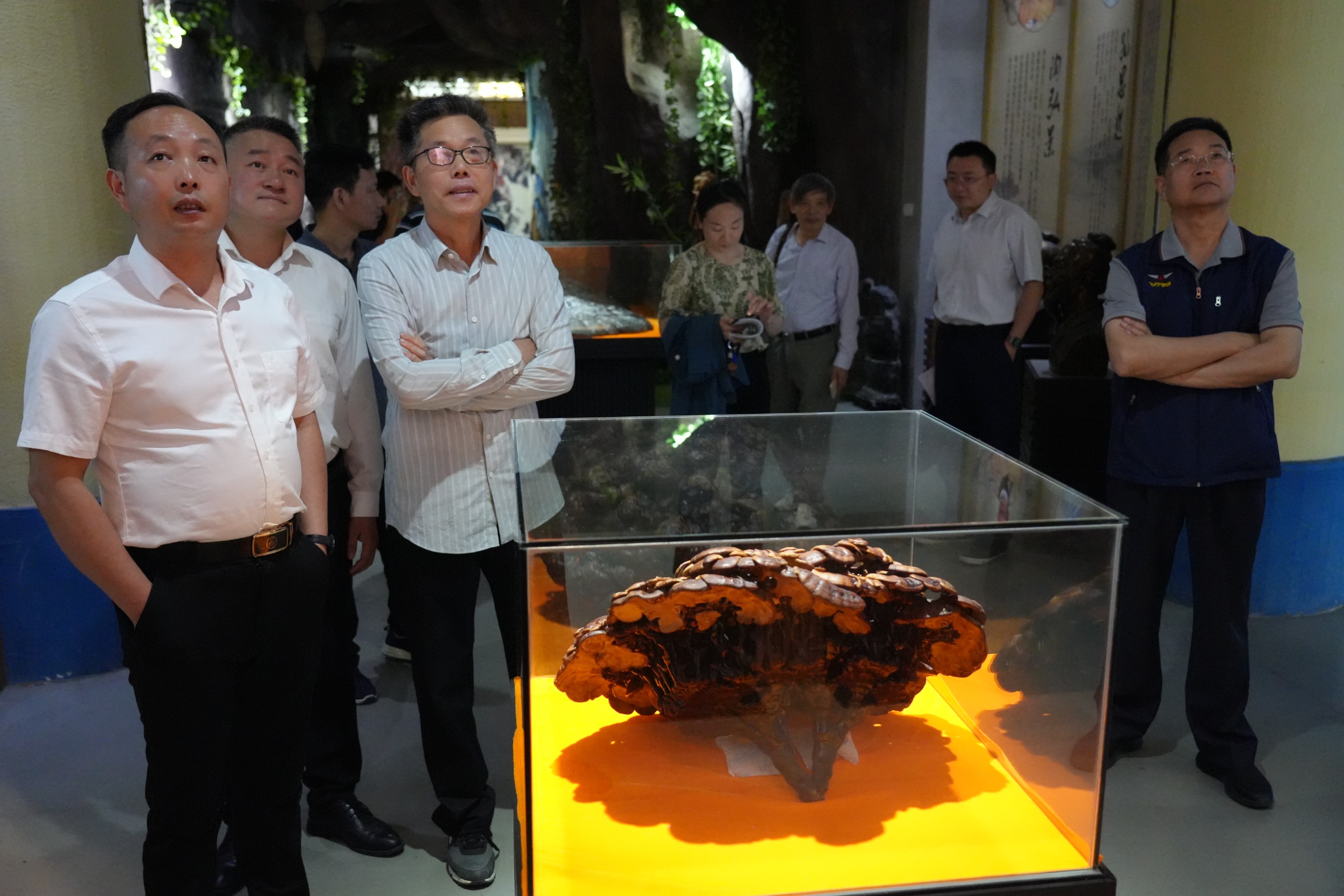 杭州亞運(yùn)會(huì)官方靈芝產(chǎn)品供應(yīng)商|杭州亞運(yùn)會(huì)官方供應(yīng)商|中國(guó)靈芝十大品牌|仙客來(lái)靈芝|仙客來(lái)靈芝破壁孢子粉|仙客來(lái)孢子油|仙客來(lái)靈芝飲片|仙客來(lái)破壁孢子粉|靈芝孢子油|孢子粉|靈芝破壁孢子粉|靈芝|中華老字號(hào) 杭州亞運(yùn)會(huì)官方靈芝產(chǎn)品供應(yīng)商|杭州亞運(yùn)會(huì)官方供應(yīng)商|中國(guó)靈芝十大品牌|仙客來(lái)靈芝|仙客來(lái)靈芝破壁孢子粉|仙客來(lái)孢子油|仙客來(lái)靈芝飲片|仙客來(lái)破壁孢子粉|靈芝孢子油|孢子粉|靈芝破壁孢子粉|靈芝|中華老字號(hào)