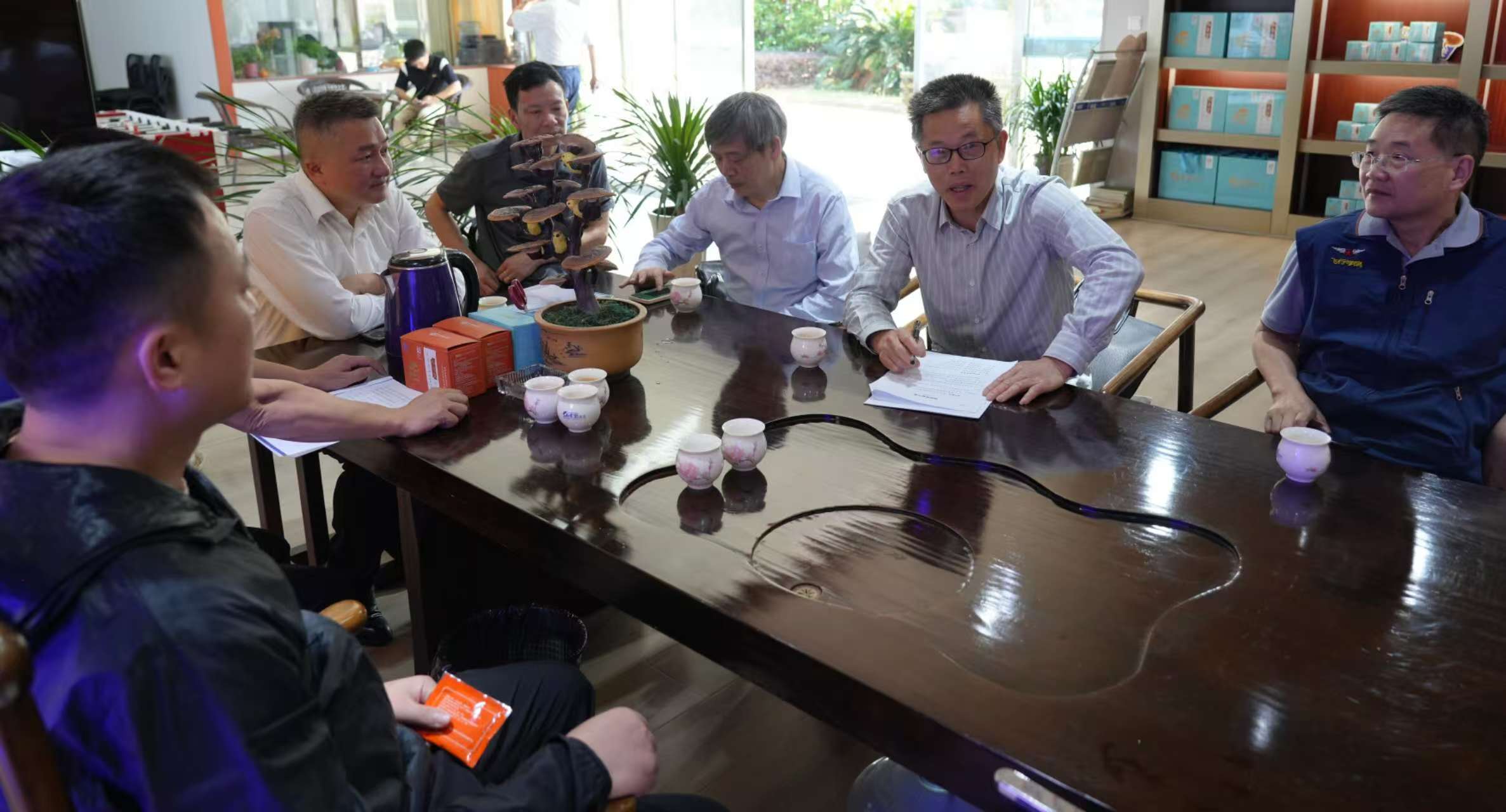 杭州亞運(yùn)會(huì)官方靈芝產(chǎn)品供應(yīng)商|杭州亞運(yùn)會(huì)官方供應(yīng)商|中國(guó)靈芝十大品牌|仙客來(lái)靈芝|仙客來(lái)靈芝破壁孢子粉|仙客來(lái)孢子油|仙客來(lái)靈芝飲片|仙客來(lái)破壁孢子粉|靈芝孢子油|孢子粉|靈芝破壁孢子粉|靈芝|中華老字號(hào) 杭州亞運(yùn)會(huì)官方靈芝產(chǎn)品供應(yīng)商|杭州亞運(yùn)會(huì)官方供應(yīng)商|中國(guó)靈芝十大品牌|仙客來(lái)靈芝|仙客來(lái)靈芝破壁孢子粉|仙客來(lái)孢子油|仙客來(lái)靈芝飲片|仙客來(lái)破壁孢子粉|靈芝孢子油|孢子粉|靈芝破壁孢子粉|靈芝|中華老字號(hào)