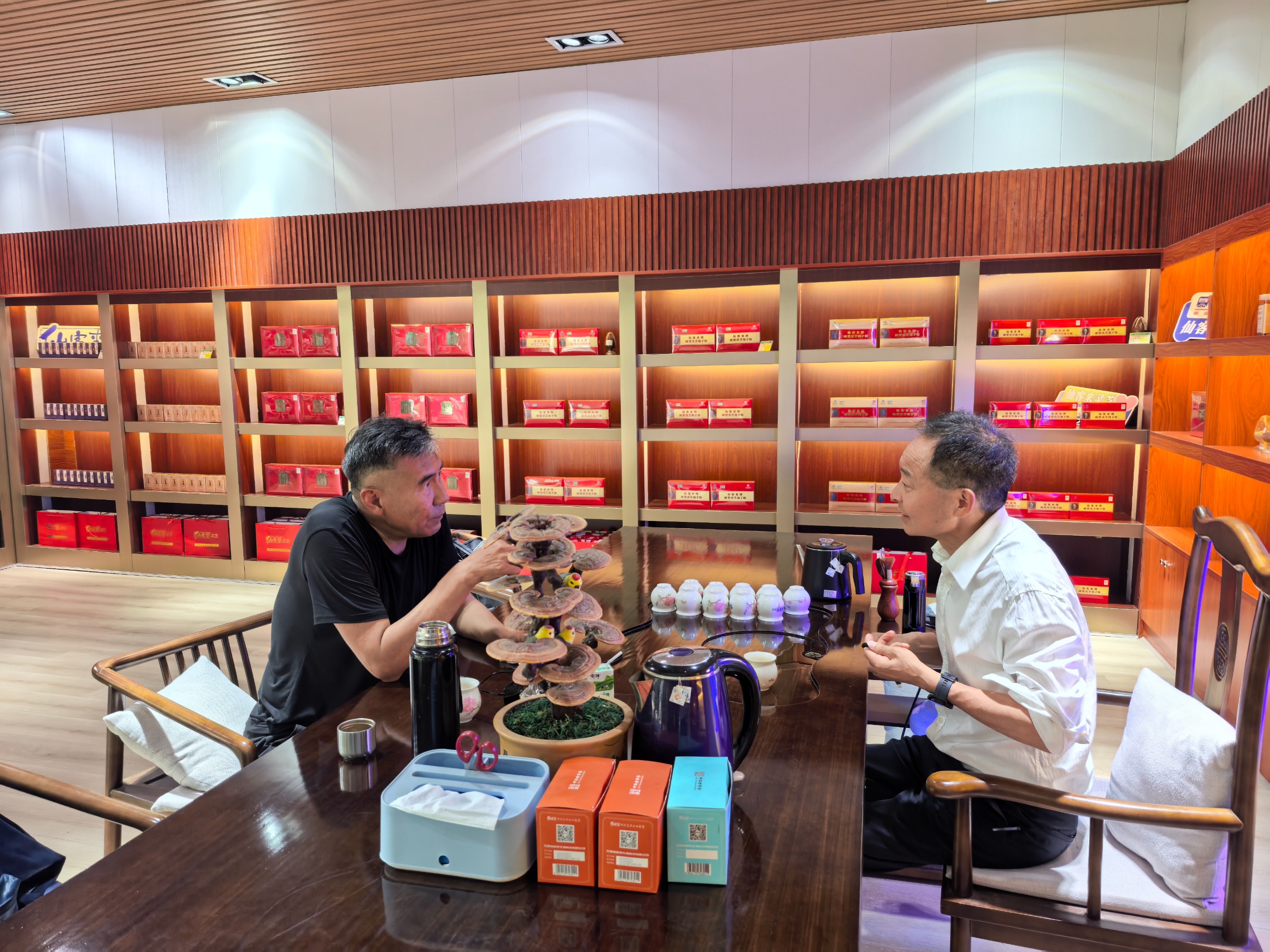 杭州亞運(yùn)會(huì)官方靈芝產(chǎn)品供應(yīng)商|杭州亞運(yùn)會(huì)官方供應(yīng)商|中國(guó)靈芝十大品牌|仙客來靈芝|仙客來靈芝破壁孢子粉|仙客來孢子油|仙客來靈芝飲片|仙客來破壁孢子粉|靈芝孢子油|孢子粉|靈芝破壁孢子粉|靈芝|中華老字號(hào) 杭州亞運(yùn)會(huì)官方靈芝產(chǎn)品供應(yīng)商|杭州亞運(yùn)會(huì)官方供應(yīng)商|中國(guó)靈芝十大品牌|仙客來靈芝|仙客來靈芝破壁孢子粉|仙客來孢子油|仙客來靈芝飲片|仙客來破壁孢子粉|靈芝孢子油|孢子粉|靈芝破壁孢子粉|靈芝|中華老字號(hào)