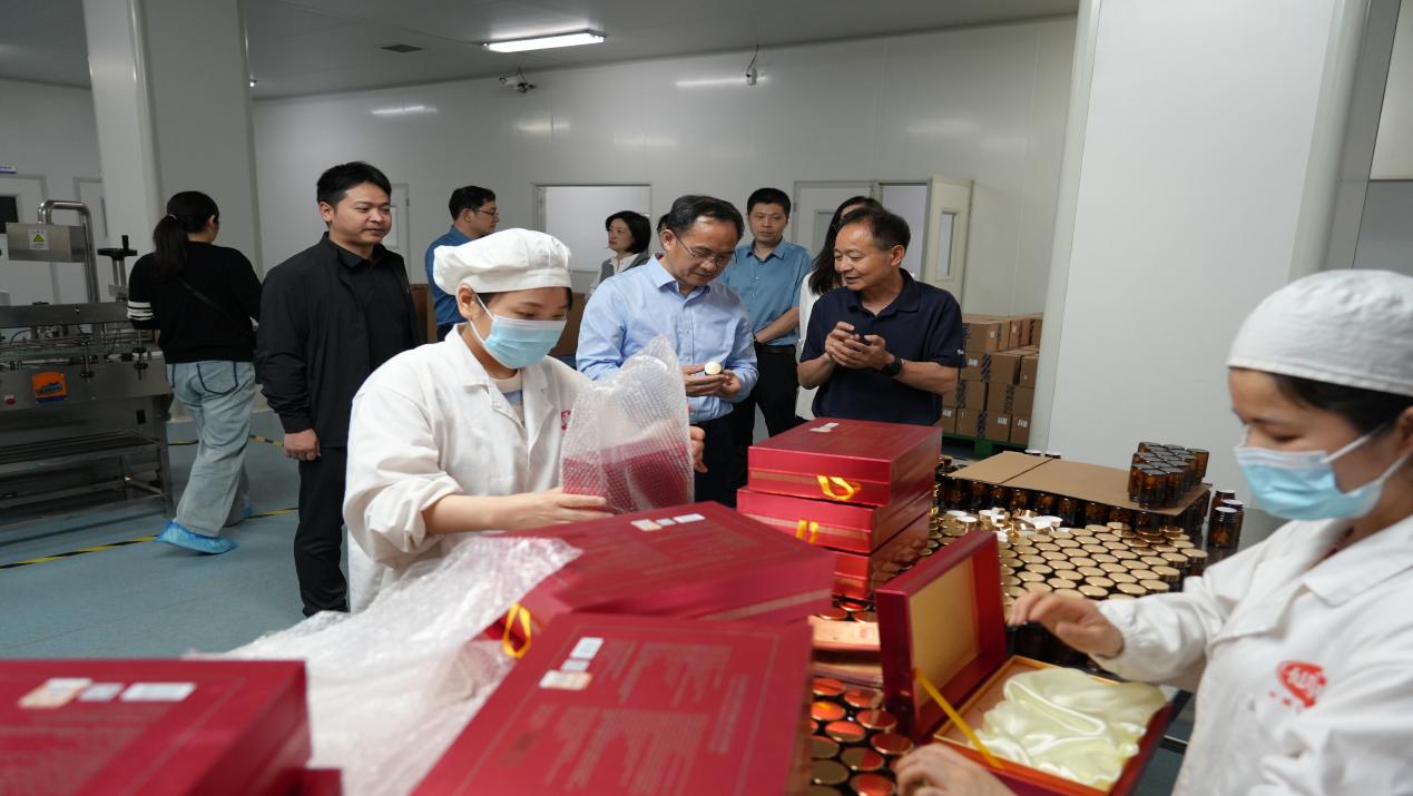 杭州亞運(yùn)會(huì)官方靈芝產(chǎn)品供應(yīng)商|杭州亞運(yùn)會(huì)官方供應(yīng)商|中國靈芝十大品牌|仙客來靈芝|仙客來靈芝破壁孢子粉|仙客來孢子油|仙客來靈芝飲片|仙客來破壁孢子粉|靈芝孢子油|孢子粉|靈芝破壁孢子粉|靈芝|中華老字號(hào) 杭州亞運(yùn)會(huì)官方靈芝產(chǎn)品供應(yīng)商|杭州亞運(yùn)會(huì)官方供應(yīng)商|中國靈芝十大品牌|仙客來靈芝|仙客來靈芝破壁孢子粉|仙客來孢子油|仙客來靈芝飲片|仙客來破壁孢子粉|靈芝孢子油|孢子粉|靈芝破壁孢子粉|靈芝|中華老字號(hào)