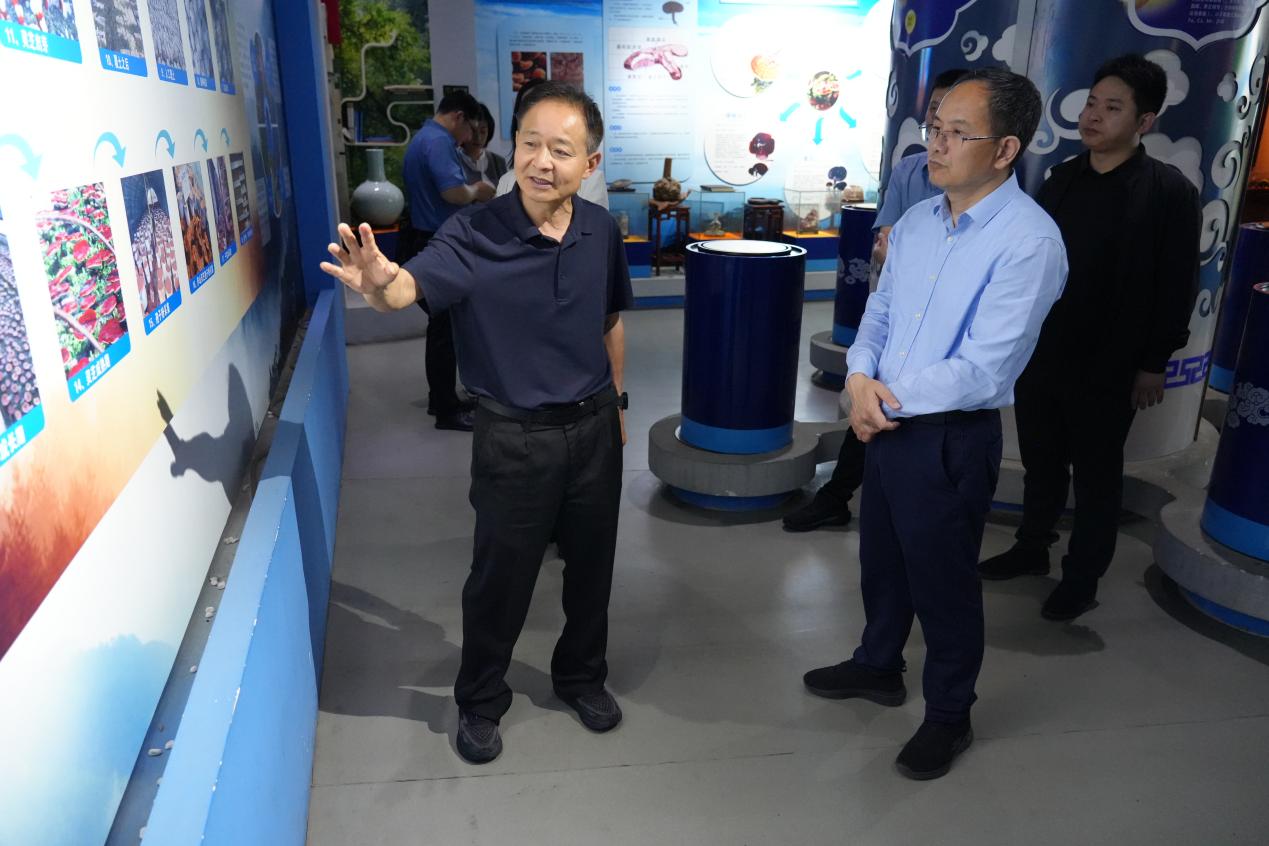 杭州亞運(yùn)會(huì)官方靈芝產(chǎn)品供應(yīng)商|杭州亞運(yùn)會(huì)官方供應(yīng)商|中國靈芝十大品牌|仙客來靈芝|仙客來靈芝破壁孢子粉|仙客來孢子油|仙客來靈芝飲片|仙客來破壁孢子粉|靈芝孢子油|孢子粉|靈芝破壁孢子粉|靈芝|中華老字號(hào) 杭州亞運(yùn)會(huì)官方靈芝產(chǎn)品供應(yīng)商|杭州亞運(yùn)會(huì)官方供應(yīng)商|中國靈芝十大品牌|仙客來靈芝|仙客來靈芝破壁孢子粉|仙客來孢子油|仙客來靈芝飲片|仙客來破壁孢子粉|靈芝孢子油|孢子粉|靈芝破壁孢子粉|靈芝|中華老字號(hào)