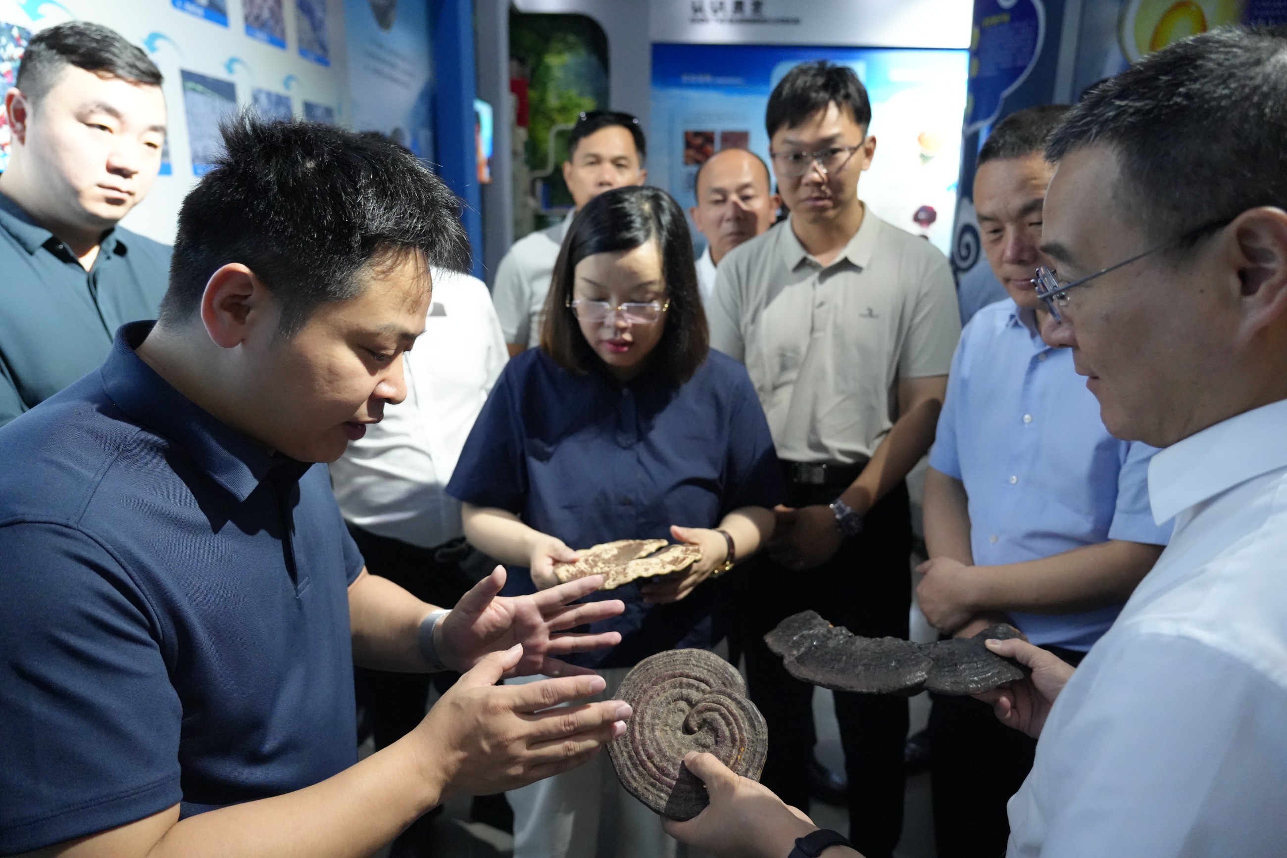 杭州亞運(yùn)會(huì)官方靈芝產(chǎn)品供應(yīng)商|杭州亞運(yùn)會(huì)官方供應(yīng)商|中國(guó)靈芝十大品牌|仙客來(lái)靈芝|仙客來(lái)靈芝破壁孢子粉|仙客來(lái)孢子油|仙客來(lái)靈芝飲片|仙客來(lái)破壁孢子粉|靈芝孢子油|孢子粉|靈芝破壁孢子粉|靈芝|中華老字號(hào) 杭州亞運(yùn)會(huì)官方靈芝產(chǎn)品供應(yīng)商|杭州亞運(yùn)會(huì)官方供應(yīng)商|中國(guó)靈芝十大品牌|仙客來(lái)靈芝|仙客來(lái)靈芝破壁孢子粉|仙客來(lái)孢子油|仙客來(lái)靈芝飲片|仙客來(lái)破壁孢子粉|靈芝孢子油|孢子粉|靈芝破壁孢子粉|靈芝|中華老字號(hào)