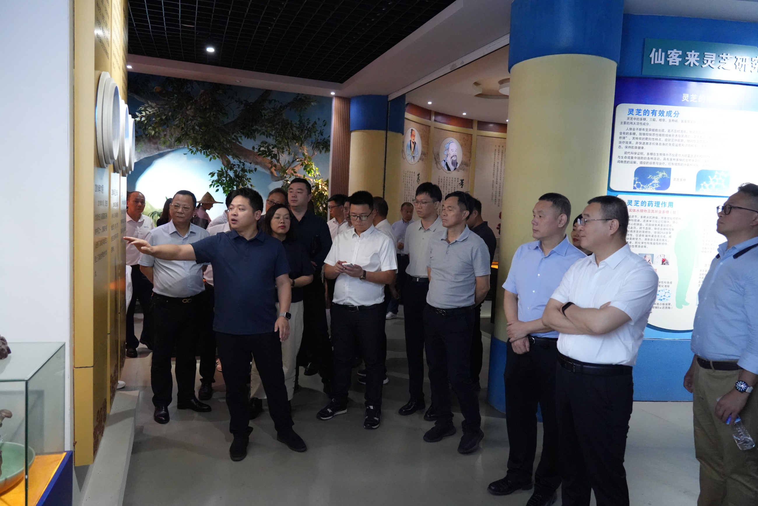 杭州亞運(yùn)會(huì)官方靈芝產(chǎn)品供應(yīng)商|杭州亞運(yùn)會(huì)官方供應(yīng)商|中國(guó)靈芝十大品牌|仙客來(lái)靈芝|仙客來(lái)靈芝破壁孢子粉|仙客來(lái)孢子油|仙客來(lái)靈芝飲片|仙客來(lái)破壁孢子粉|靈芝孢子油|孢子粉|靈芝破壁孢子粉|靈芝|中華老字號(hào) 杭州亞運(yùn)會(huì)官方靈芝產(chǎn)品供應(yīng)商|杭州亞運(yùn)會(huì)官方供應(yīng)商|中國(guó)靈芝十大品牌|仙客來(lái)靈芝|仙客來(lái)靈芝破壁孢子粉|仙客來(lái)孢子油|仙客來(lái)靈芝飲片|仙客來(lái)破壁孢子粉|靈芝孢子油|孢子粉|靈芝破壁孢子粉|靈芝|中華老字號(hào)