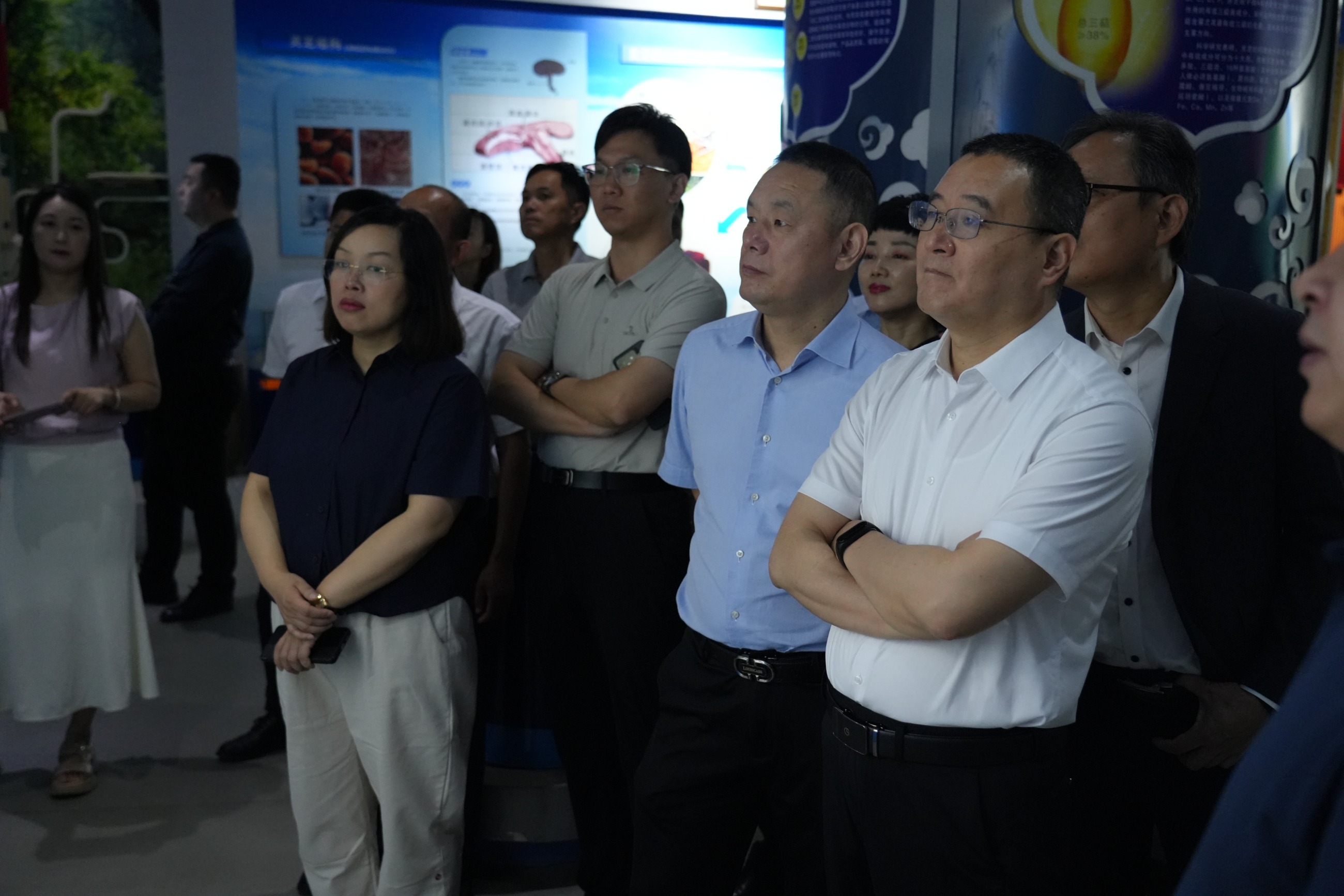 杭州亞運(yùn)會(huì)官方靈芝產(chǎn)品供應(yīng)商|杭州亞運(yùn)會(huì)官方供應(yīng)商|中國(guó)靈芝十大品牌|仙客來(lái)靈芝|仙客來(lái)靈芝破壁孢子粉|仙客來(lái)孢子油|仙客來(lái)靈芝飲片|仙客來(lái)破壁孢子粉|靈芝孢子油|孢子粉|靈芝破壁孢子粉|靈芝|中華老字號(hào) 杭州亞運(yùn)會(huì)官方靈芝產(chǎn)品供應(yīng)商|杭州亞運(yùn)會(huì)官方供應(yīng)商|中國(guó)靈芝十大品牌|仙客來(lái)靈芝|仙客來(lái)靈芝破壁孢子粉|仙客來(lái)孢子油|仙客來(lái)靈芝飲片|仙客來(lái)破壁孢子粉|靈芝孢子油|孢子粉|靈芝破壁孢子粉|靈芝|中華老字號(hào)