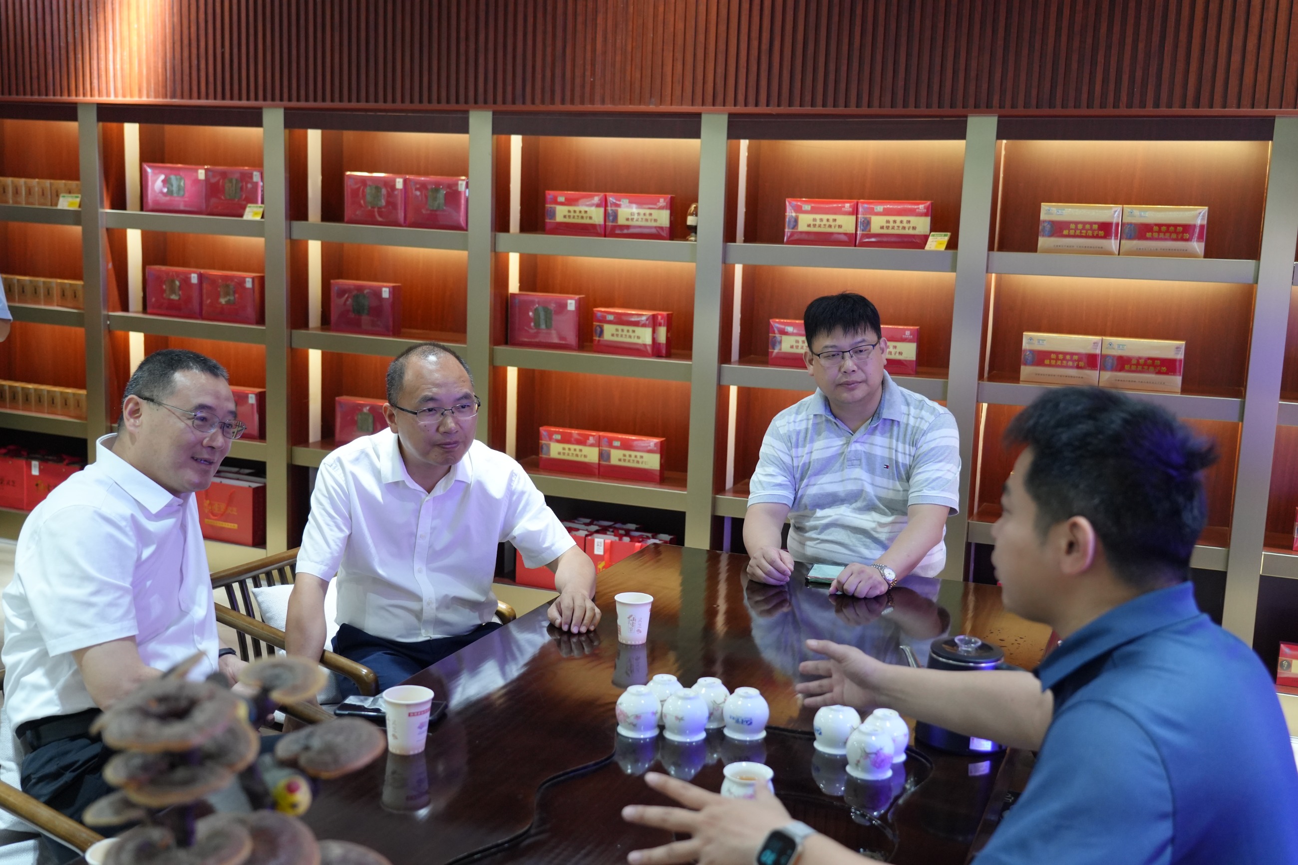 杭州亞運(yùn)會(huì)官方靈芝產(chǎn)品供應(yīng)商|杭州亞運(yùn)會(huì)官方供應(yīng)商|中國(guó)靈芝十大品牌|仙客來(lái)靈芝|仙客來(lái)靈芝破壁孢子粉|仙客來(lái)孢子油|仙客來(lái)靈芝飲片|仙客來(lái)破壁孢子粉|靈芝孢子油|孢子粉|靈芝破壁孢子粉|靈芝|中華老字號(hào) 杭州亞運(yùn)會(huì)官方靈芝產(chǎn)品供應(yīng)商|杭州亞運(yùn)會(huì)官方供應(yīng)商|中國(guó)靈芝十大品牌|仙客來(lái)靈芝|仙客來(lái)靈芝破壁孢子粉|仙客來(lái)孢子油|仙客來(lái)靈芝飲片|仙客來(lái)破壁孢子粉|靈芝孢子油|孢子粉|靈芝破壁孢子粉|靈芝|中華老字號(hào)