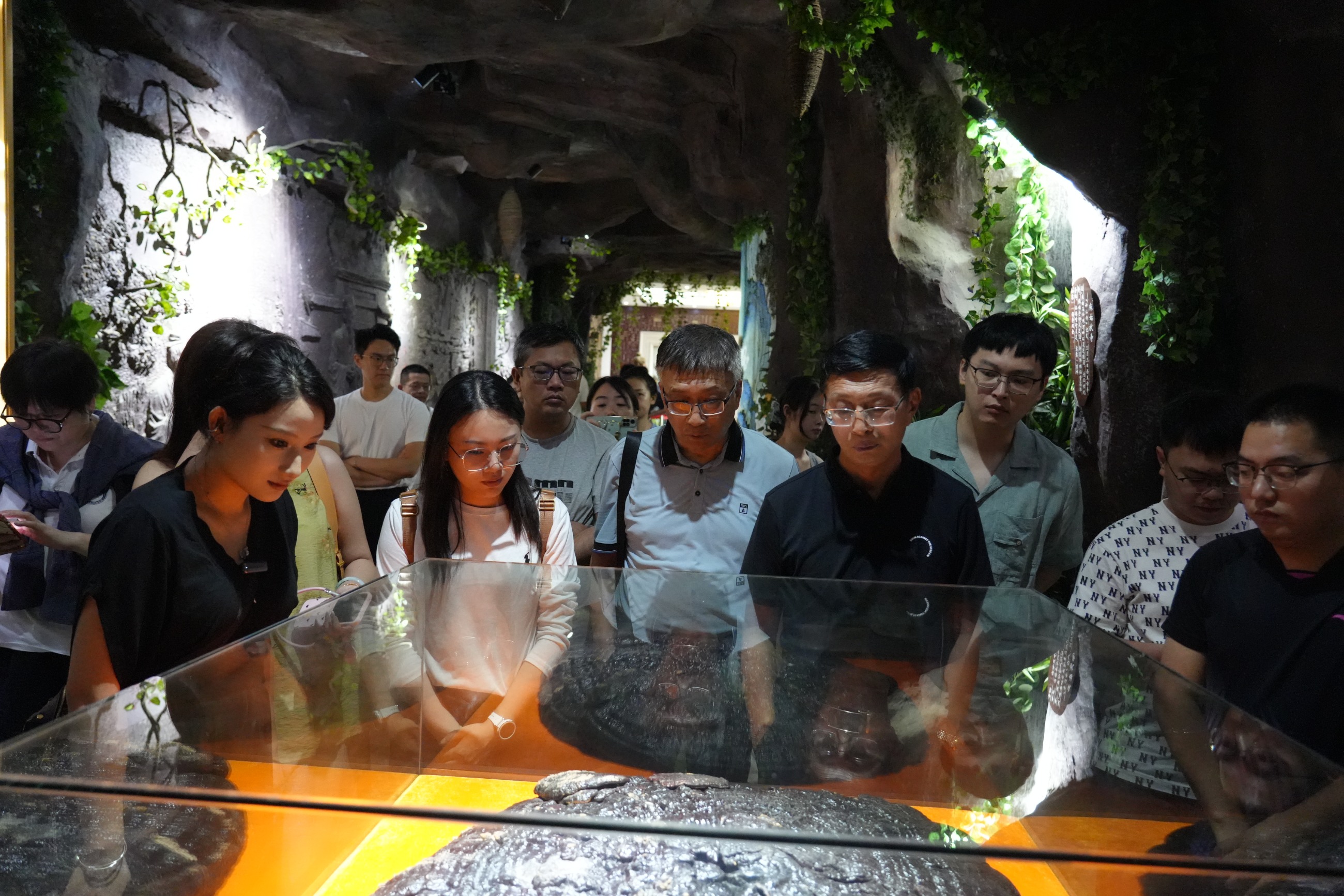 杭州亞運(yùn)會(huì)官方靈芝產(chǎn)品供應(yīng)商|杭州亞運(yùn)會(huì)官方供應(yīng)商|中國(guó)靈芝十大品牌|仙客來(lái)靈芝|仙客來(lái)靈芝破壁孢子粉|仙客來(lái)孢子油|仙客來(lái)靈芝飲片|仙客來(lái)破壁孢子粉|靈芝孢子油|孢子粉|靈芝破壁孢子粉|靈芝|中華老字號(hào) 杭州亞運(yùn)會(huì)官方靈芝產(chǎn)品供應(yīng)商|杭州亞運(yùn)會(huì)官方供應(yīng)商|中國(guó)靈芝十大品牌|仙客來(lái)靈芝|仙客來(lái)靈芝破壁孢子粉|仙客來(lái)孢子油|仙客來(lái)靈芝飲片|仙客來(lái)破壁孢子粉|靈芝孢子油|孢子粉|靈芝破壁孢子粉|靈芝|中華老字號(hào)