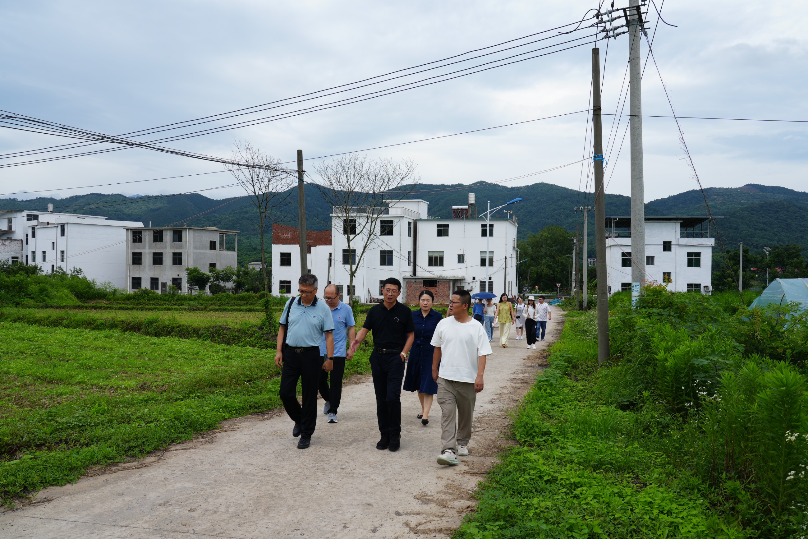 杭州亞運(yùn)會(huì)官方靈芝產(chǎn)品供應(yīng)商|杭州亞運(yùn)會(huì)官方供應(yīng)商|中國(guó)靈芝十大品牌|仙客來(lái)靈芝|仙客來(lái)靈芝破壁孢子粉|仙客來(lái)孢子油|仙客來(lái)靈芝飲片|仙客來(lái)破壁孢子粉|靈芝孢子油|孢子粉|靈芝破壁孢子粉|靈芝|中華老字號(hào) 杭州亞運(yùn)會(huì)官方靈芝產(chǎn)品供應(yīng)商|杭州亞運(yùn)會(huì)官方供應(yīng)商|中國(guó)靈芝十大品牌|仙客來(lái)靈芝|仙客來(lái)靈芝破壁孢子粉|仙客來(lái)孢子油|仙客來(lái)靈芝飲片|仙客來(lái)破壁孢子粉|靈芝孢子油|孢子粉|靈芝破壁孢子粉|靈芝|中華老字號(hào)