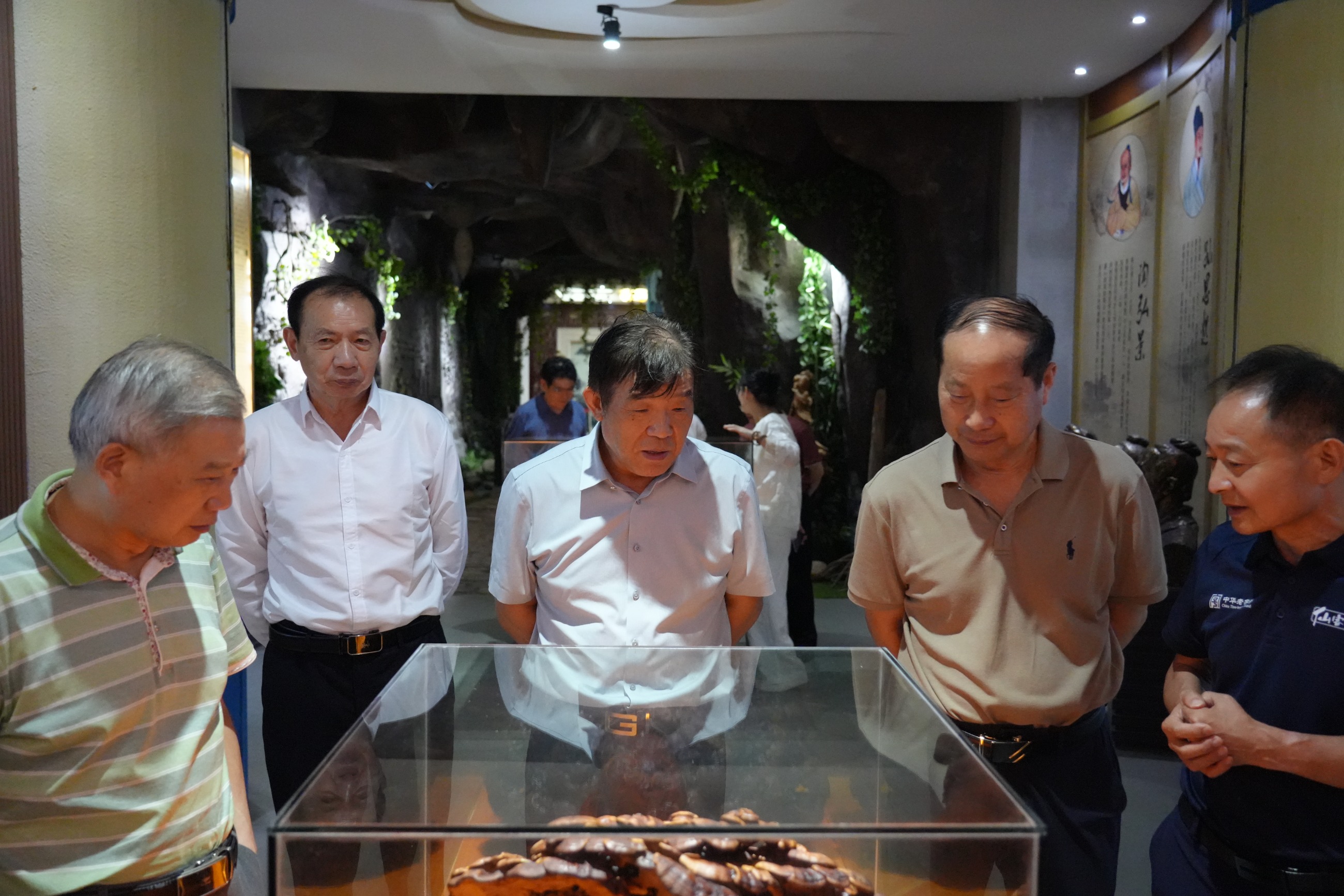 杭州亞運會官方靈芝產品供應商|杭州亞運會官方供應商|中國靈芝十大品牌|仙客來靈芝|仙客來靈芝破壁孢子粉|仙客來孢子油|仙客來靈芝飲片|仙客來破壁孢子粉|靈芝孢子油|孢子粉|靈芝破壁孢子粉|靈芝|中華老字號 杭州亞運會官方靈芝產品供應商|杭州亞運會官方供應商|中國靈芝十大品牌|仙客來靈芝|仙客來靈芝破壁孢子粉|仙客來孢子油|仙客來靈芝飲片|仙客來破壁孢子粉|靈芝孢子油|孢子粉|靈芝破壁孢子粉|靈芝|中華老字號