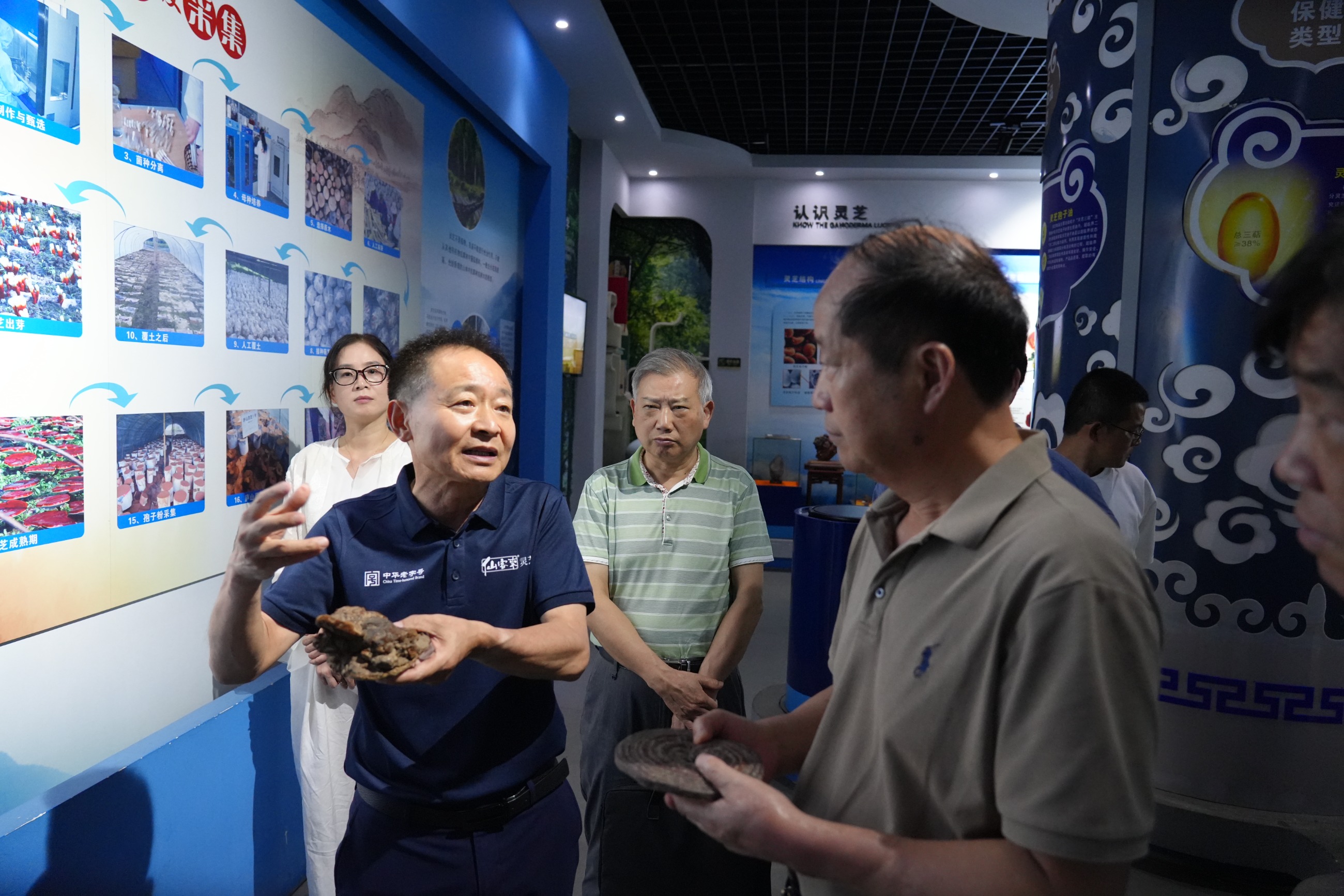 杭州亞運會官方靈芝產品供應商|杭州亞運會官方供應商|中國靈芝十大品牌|仙客來靈芝|仙客來靈芝破壁孢子粉|仙客來孢子油|仙客來靈芝飲片|仙客來破壁孢子粉|靈芝孢子油|孢子粉|靈芝破壁孢子粉|靈芝|中華老字號 杭州亞運會官方靈芝產品供應商|杭州亞運會官方供應商|中國靈芝十大品牌|仙客來靈芝|仙客來靈芝破壁孢子粉|仙客來孢子油|仙客來靈芝飲片|仙客來破壁孢子粉|靈芝孢子油|孢子粉|靈芝破壁孢子粉|靈芝|中華老字號