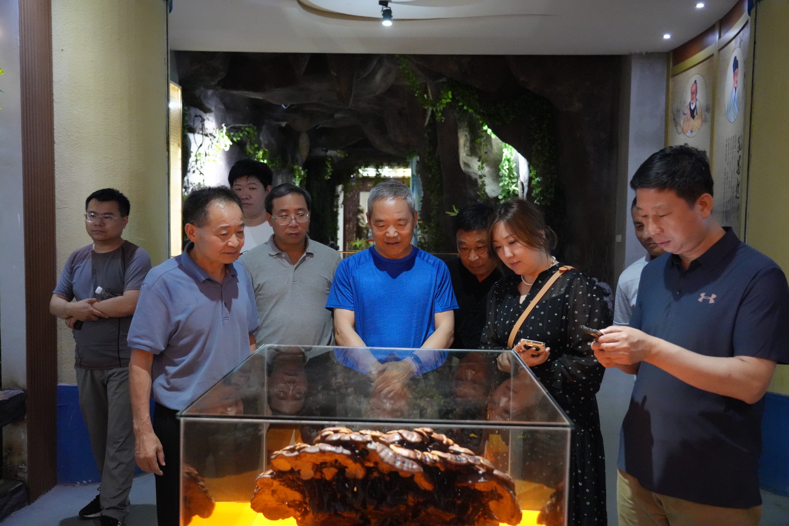 杭州亞運會官方靈芝產(chǎn)品供應(yīng)商|杭州亞運會官方供應(yīng)商|中國靈芝十大品牌|仙客來靈芝|仙客來靈芝破壁孢子粉|仙客來孢子油|仙客來靈芝飲片|仙客來破壁孢子粉|靈芝孢子油|孢子粉|靈芝破壁孢子粉|靈芝|中華老字號 杭州亞運會官方靈芝產(chǎn)品供應(yīng)商|杭州亞運會官方供應(yīng)商|中國靈芝十大品牌|仙客來靈芝|仙客來靈芝破壁孢子粉|仙客來孢子油|仙客來靈芝飲片|仙客來破壁孢子粉|靈芝孢子油|孢子粉|靈芝破壁孢子粉|靈芝|中華老字號